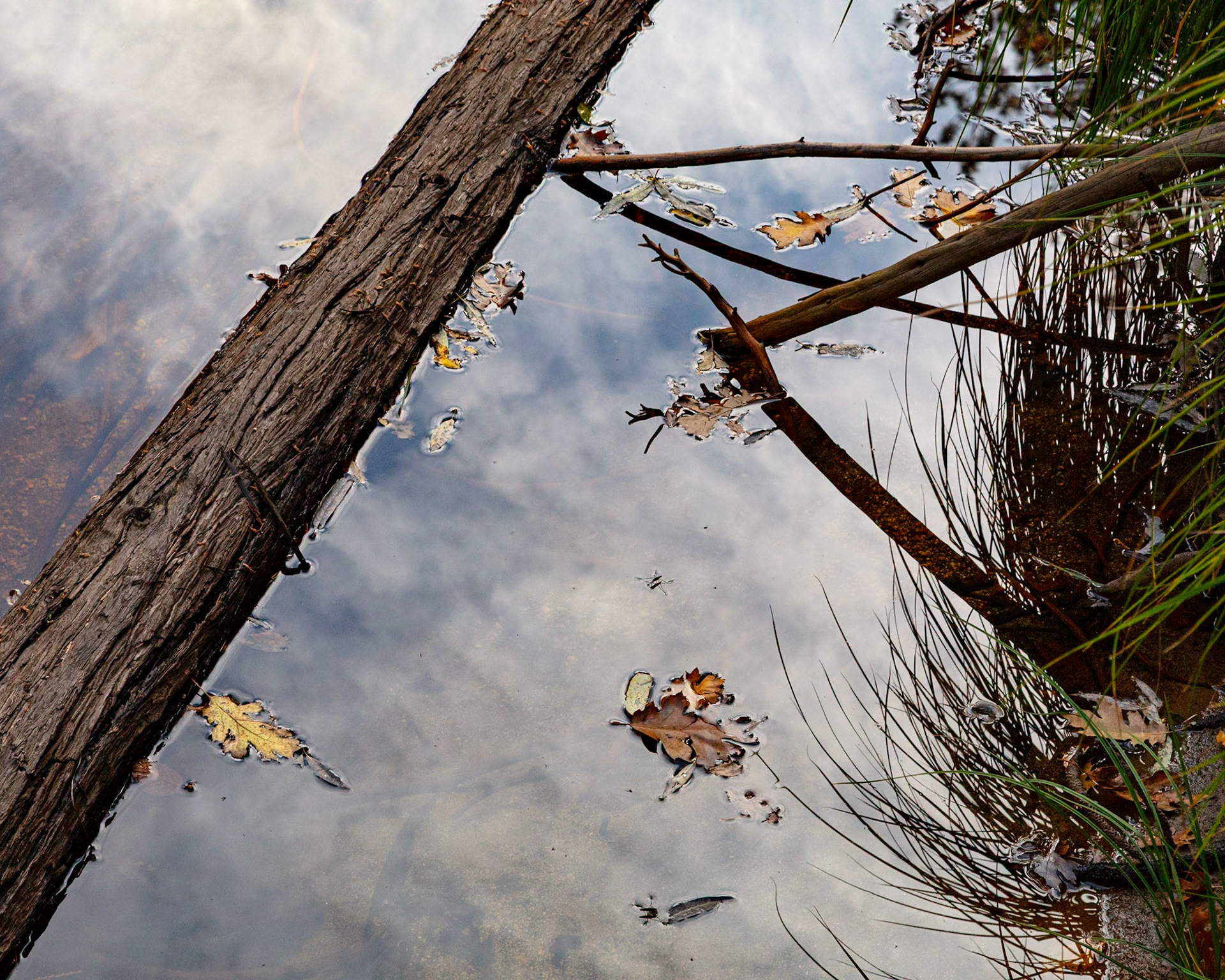 Angular, Tenaya Creek, 2023