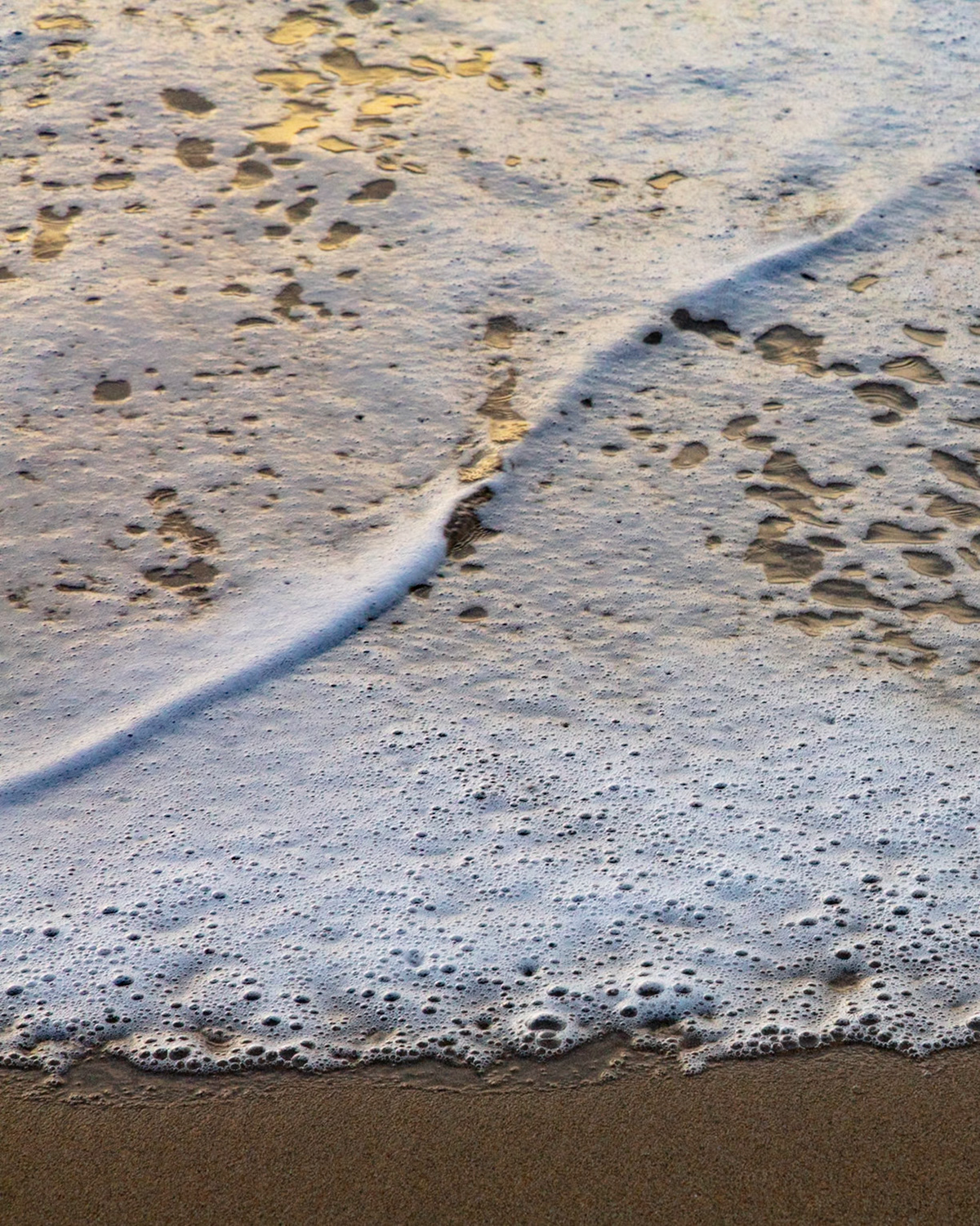 Seafoam, Pomponio, 2024