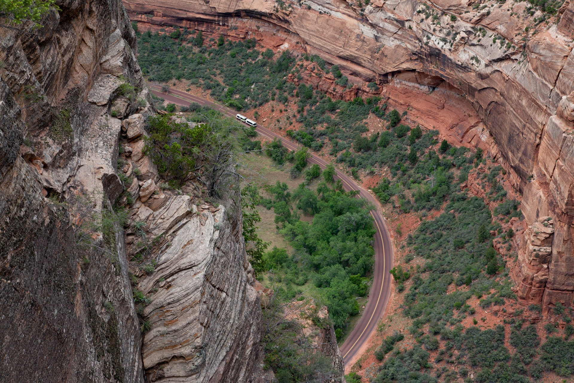 Canyon Floor, Zion, 2015