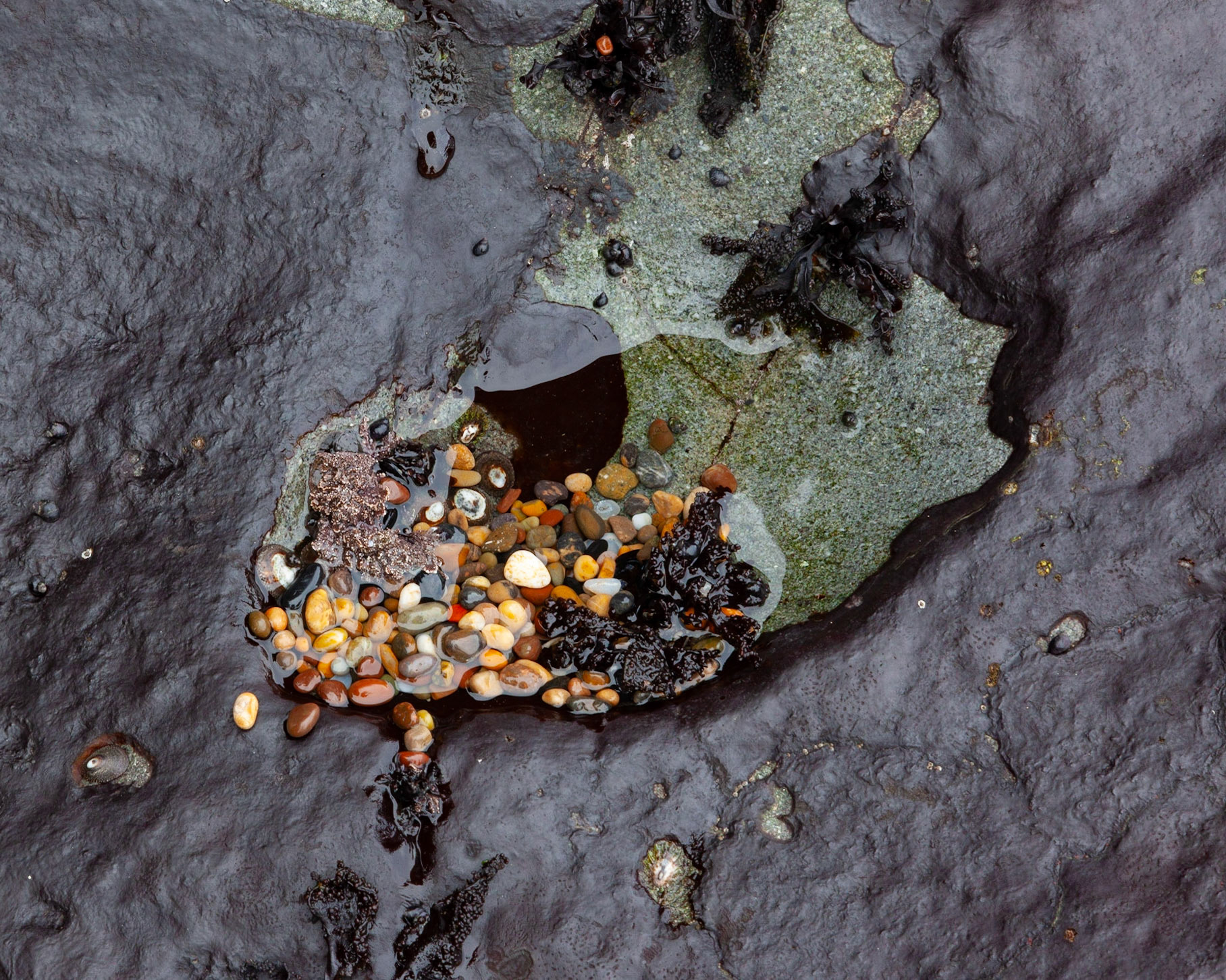 Pocket, Pebble Beach, 2020