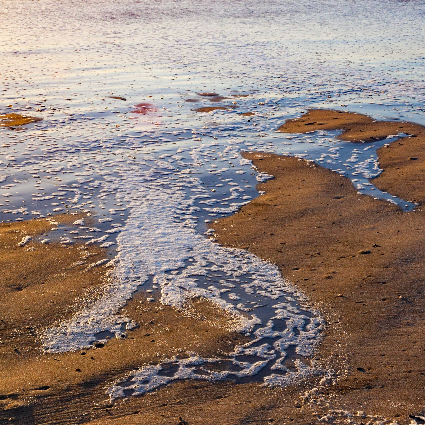 Tide, Pomponio, 2016