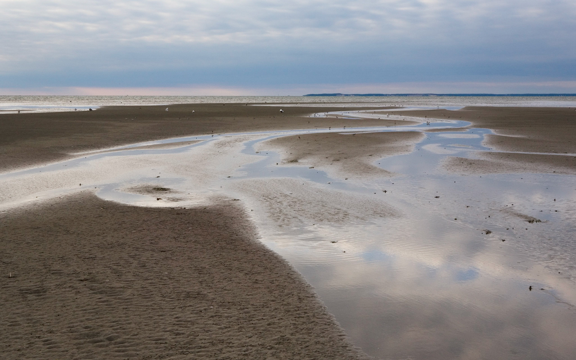 Sky Stream, First Encounter, 2006