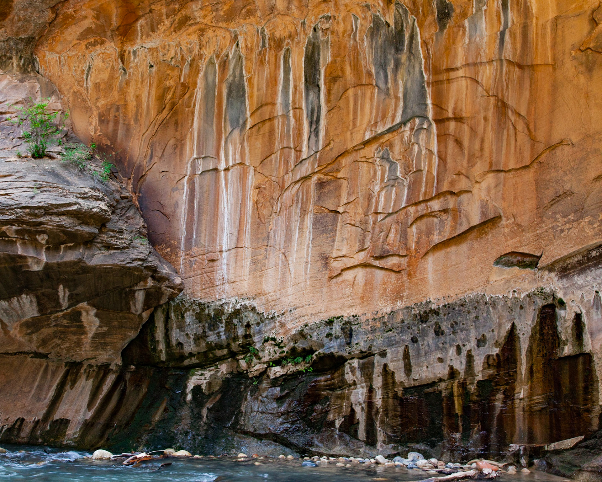 Figurations, Zion, 2015