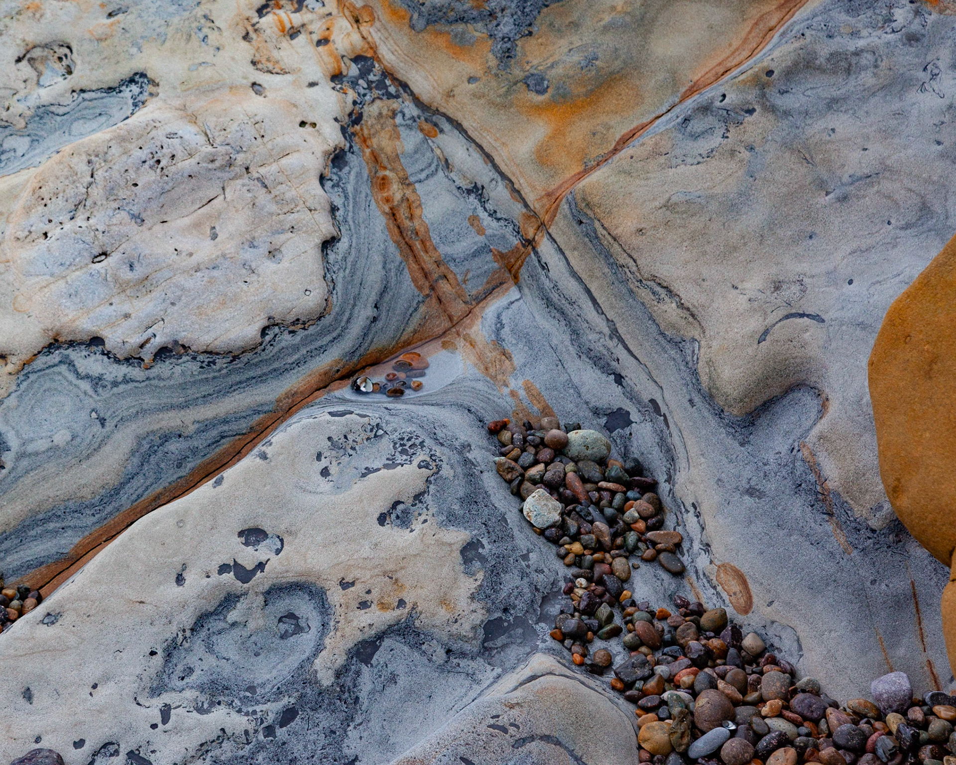 Abstract #2, Point Lobos, 2020