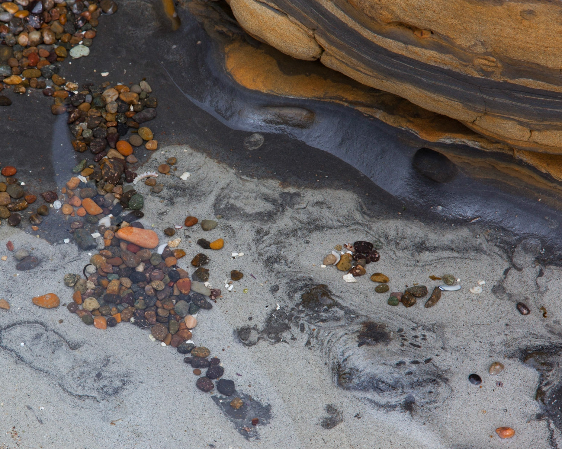 Pebble Pool, Point Lobos, 2015