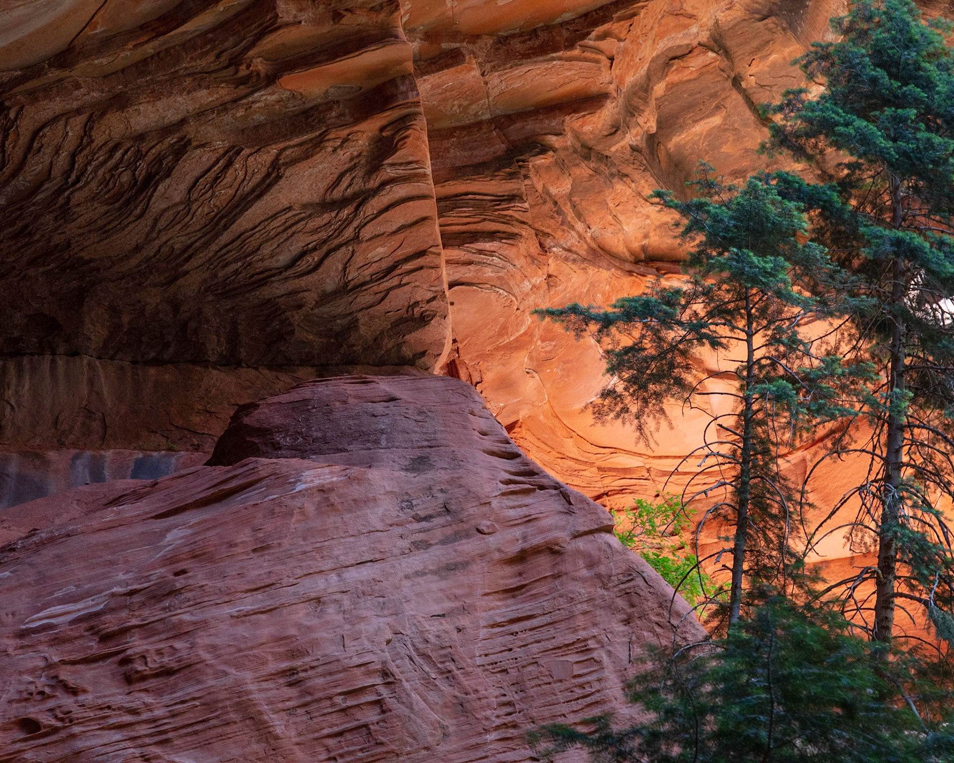 Overhang, Taylor Creek, 2022