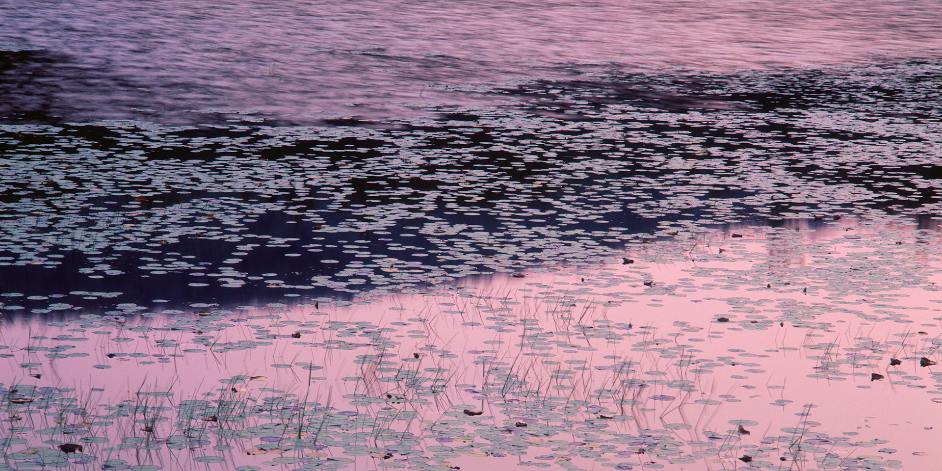 Breakneck Pond #1, Acadia, 2003