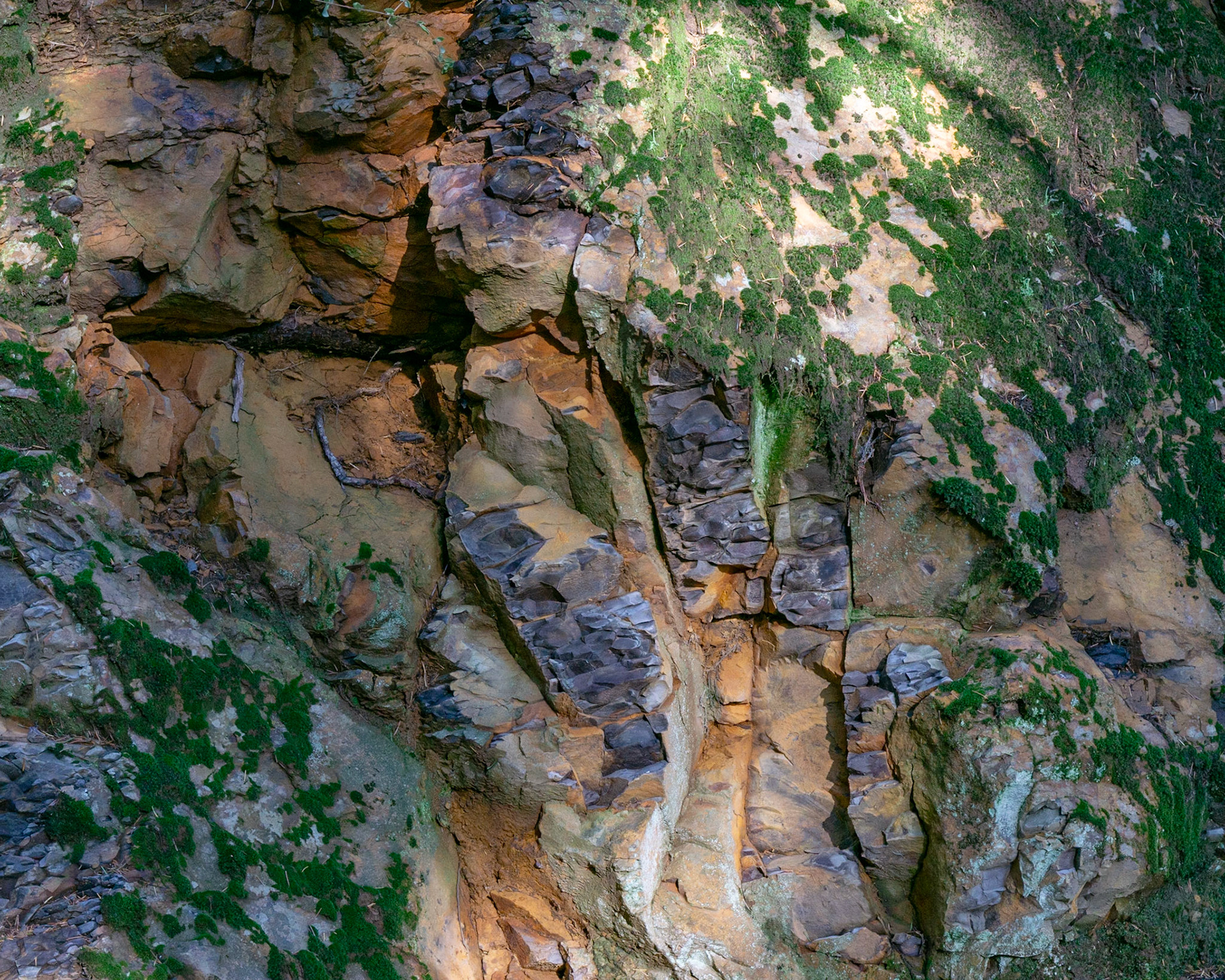 Cliff, El Corte de Madera, 2022