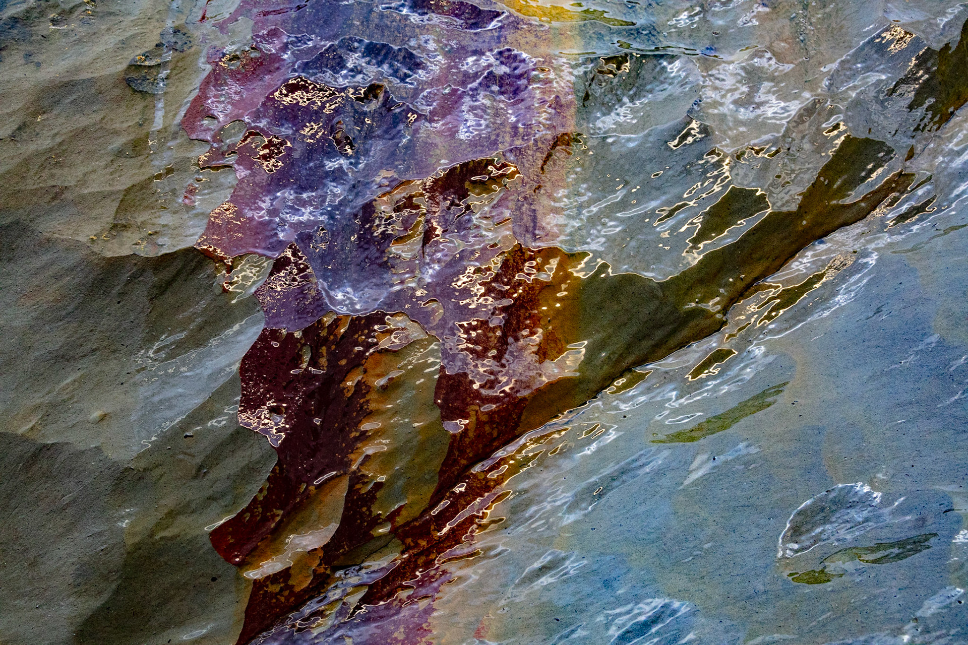 Seep, Pomponio, 2022