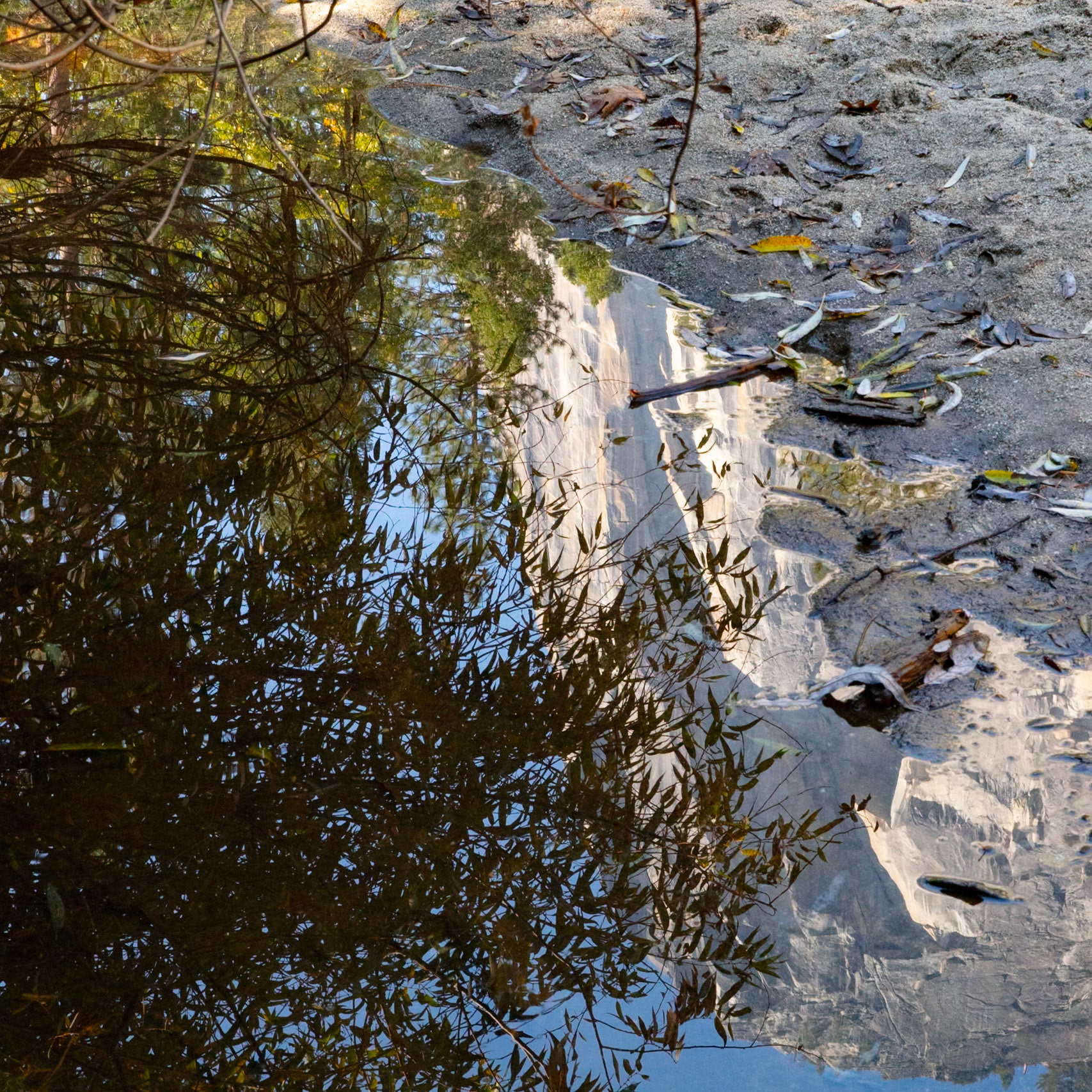 Reflection, Mirror Lake, 2023