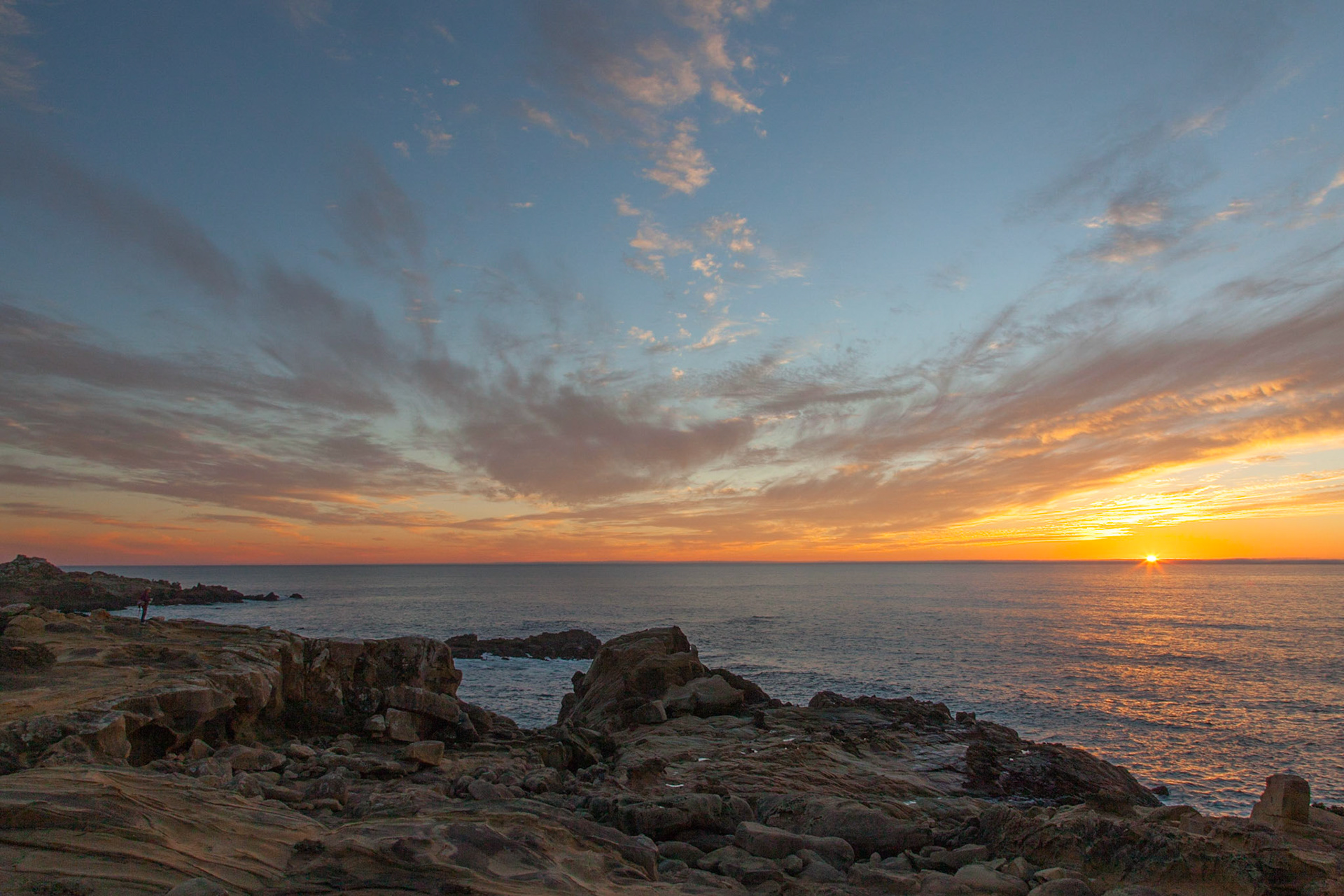 Last Light, Salt Point, 2015