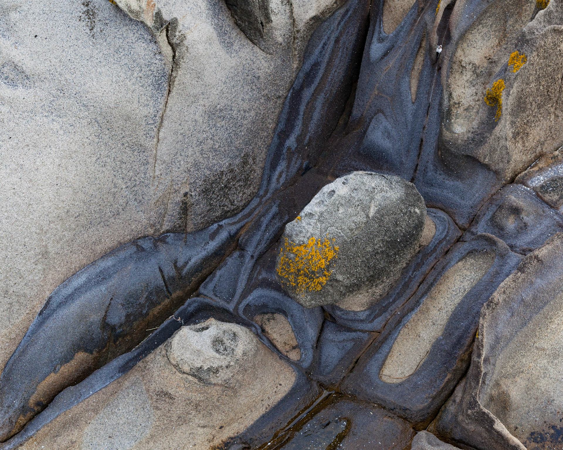Blue and Yellow, Salt Point, 2016