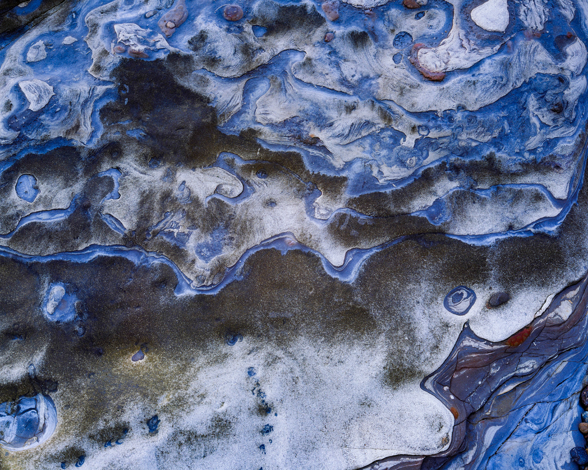 Blue Rhythm, Point Lobos, 2006