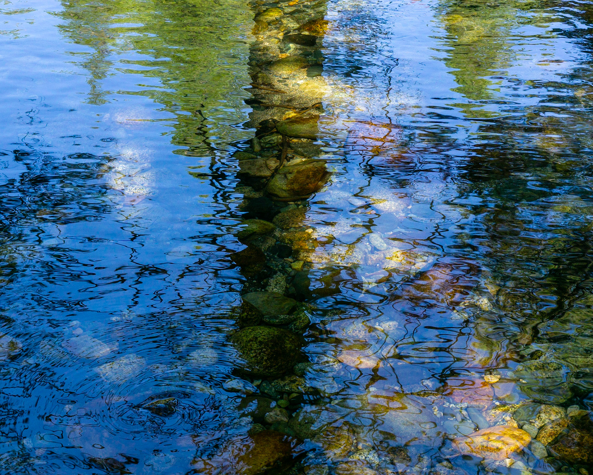 Reflections, Senger Creek, 2019