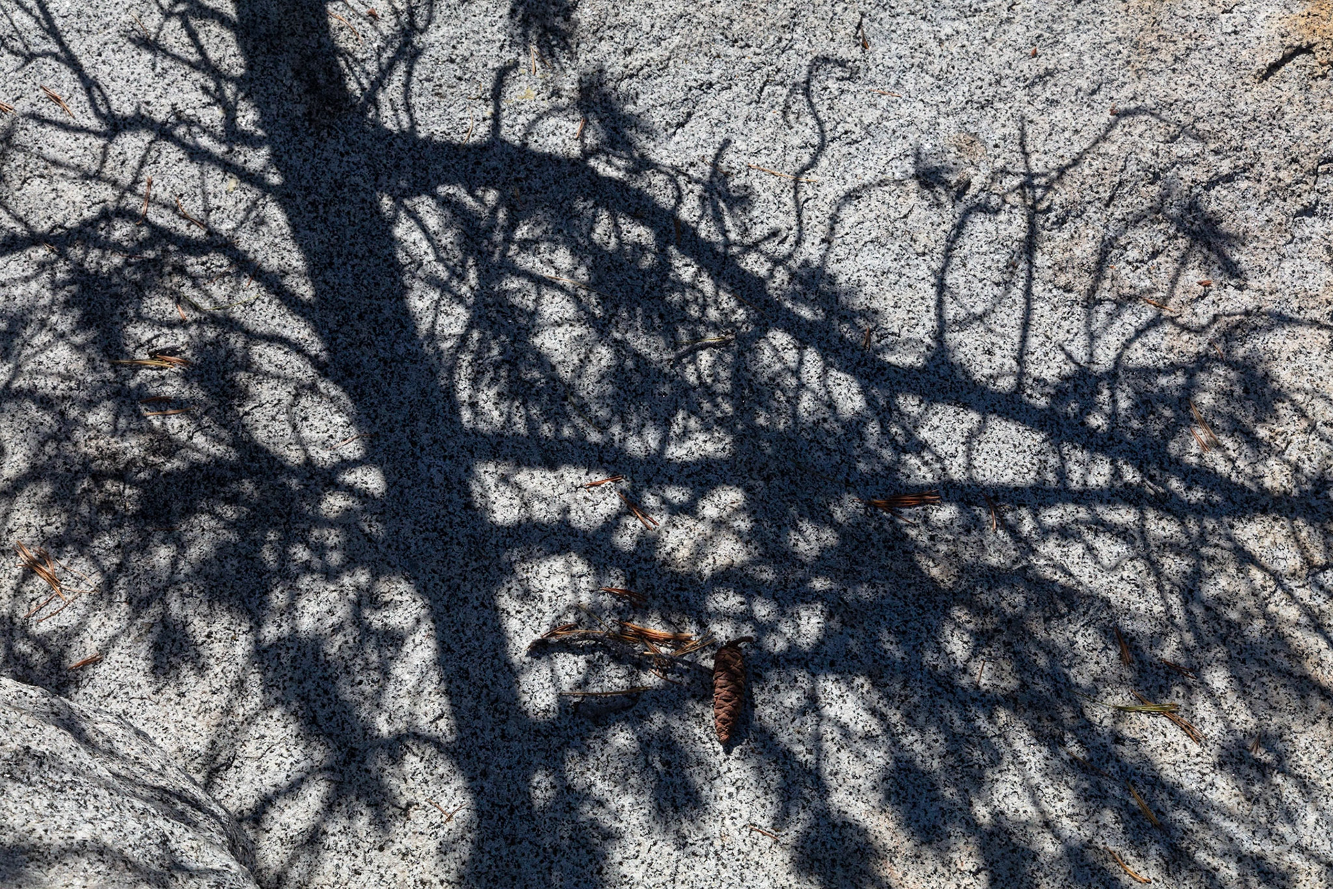Granite and Shadow, May Lake, 2022