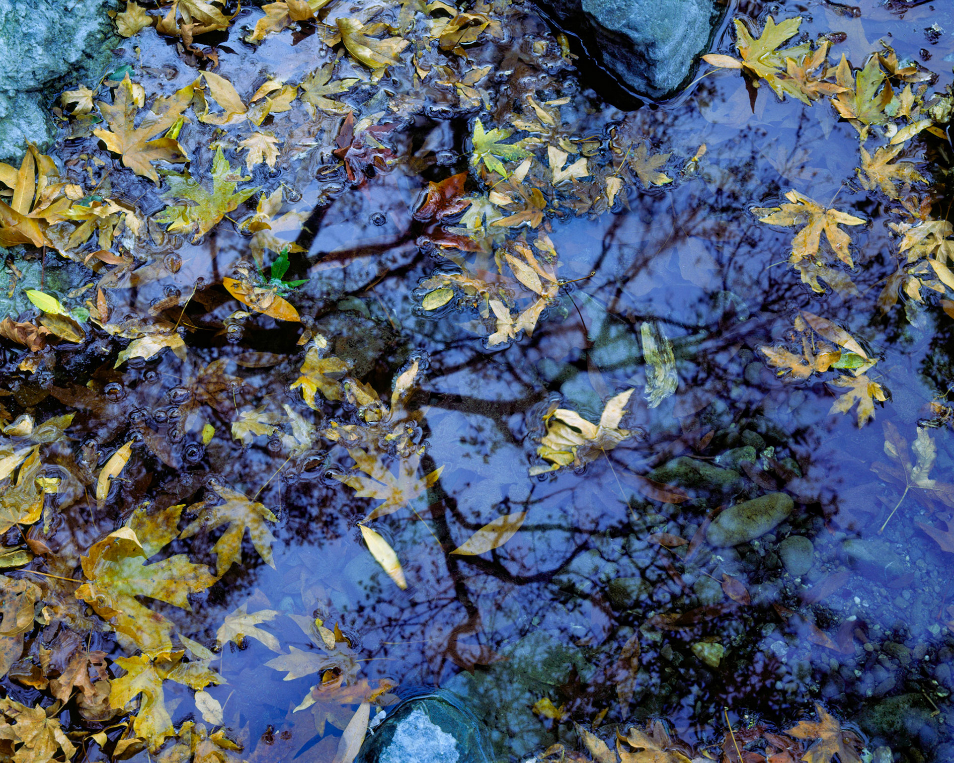 Floating World, Sunol, 2006
