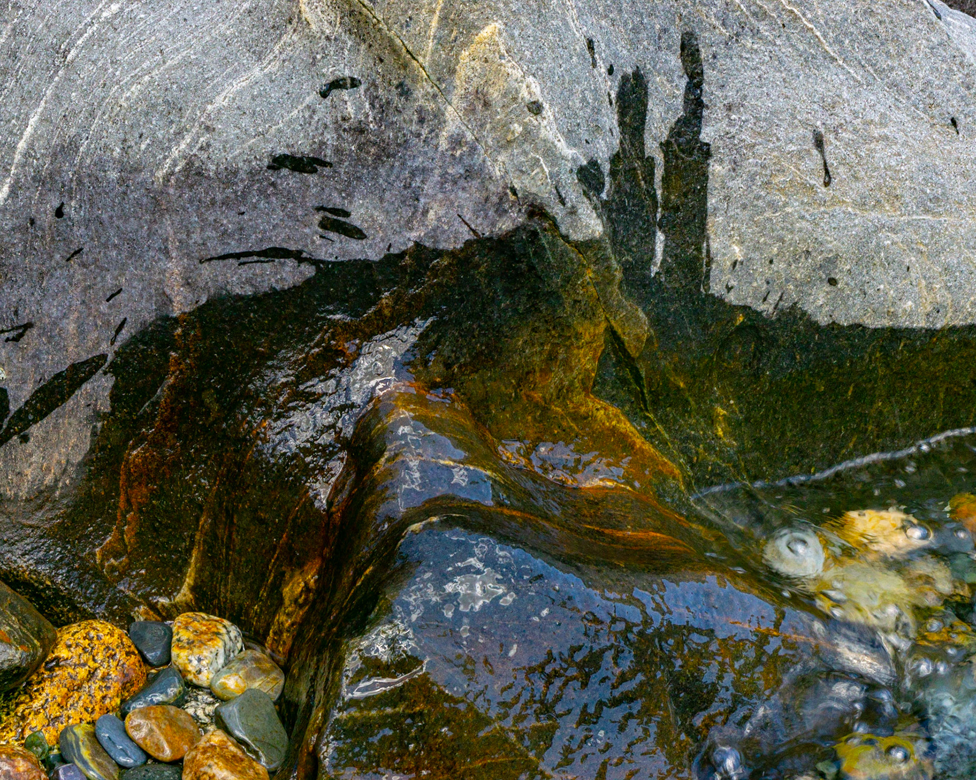 Splashes, San Joaquin, 2019