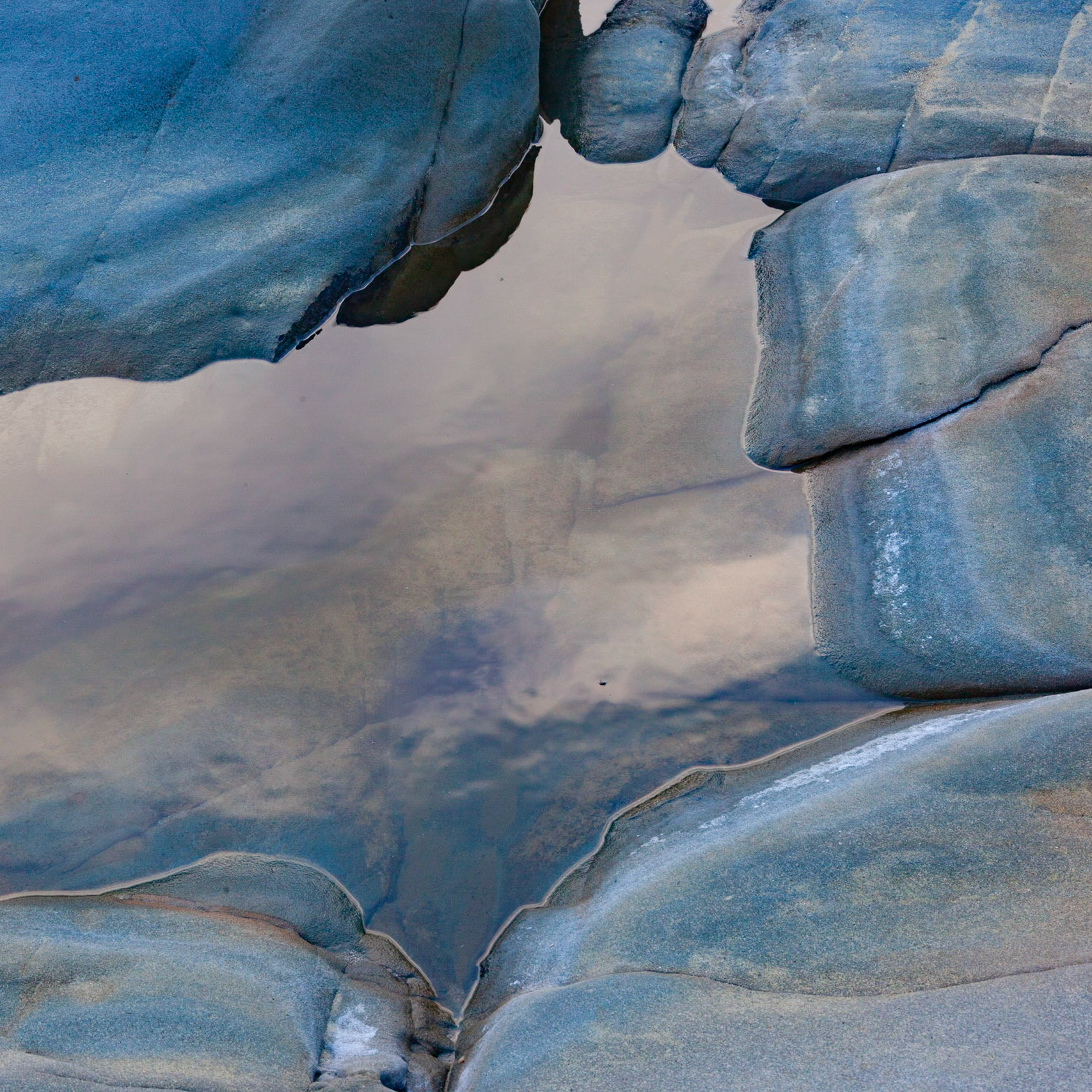 Dream, Salt Point, 2020