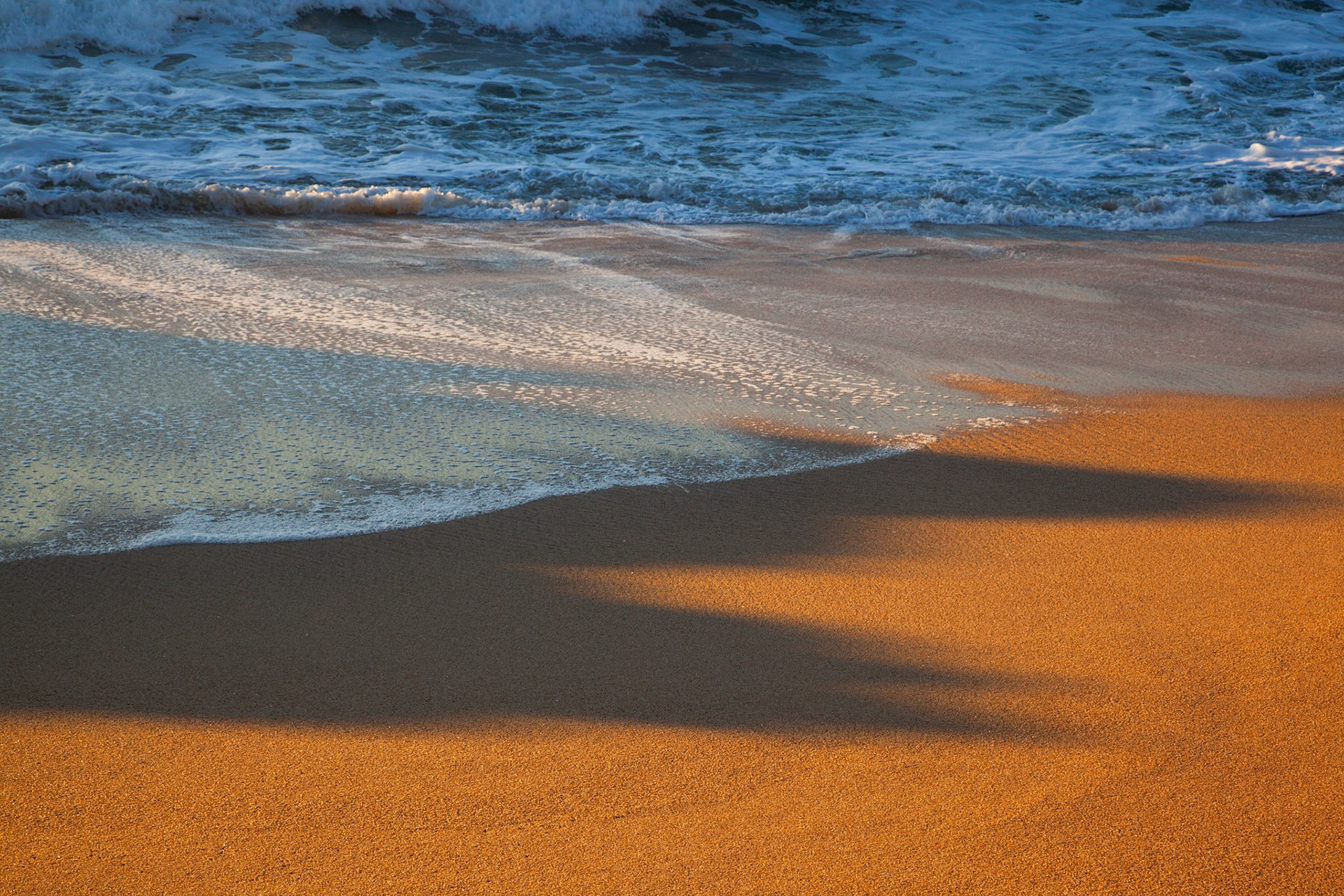 Surf and Shadow, Cowell Ranch, 2020