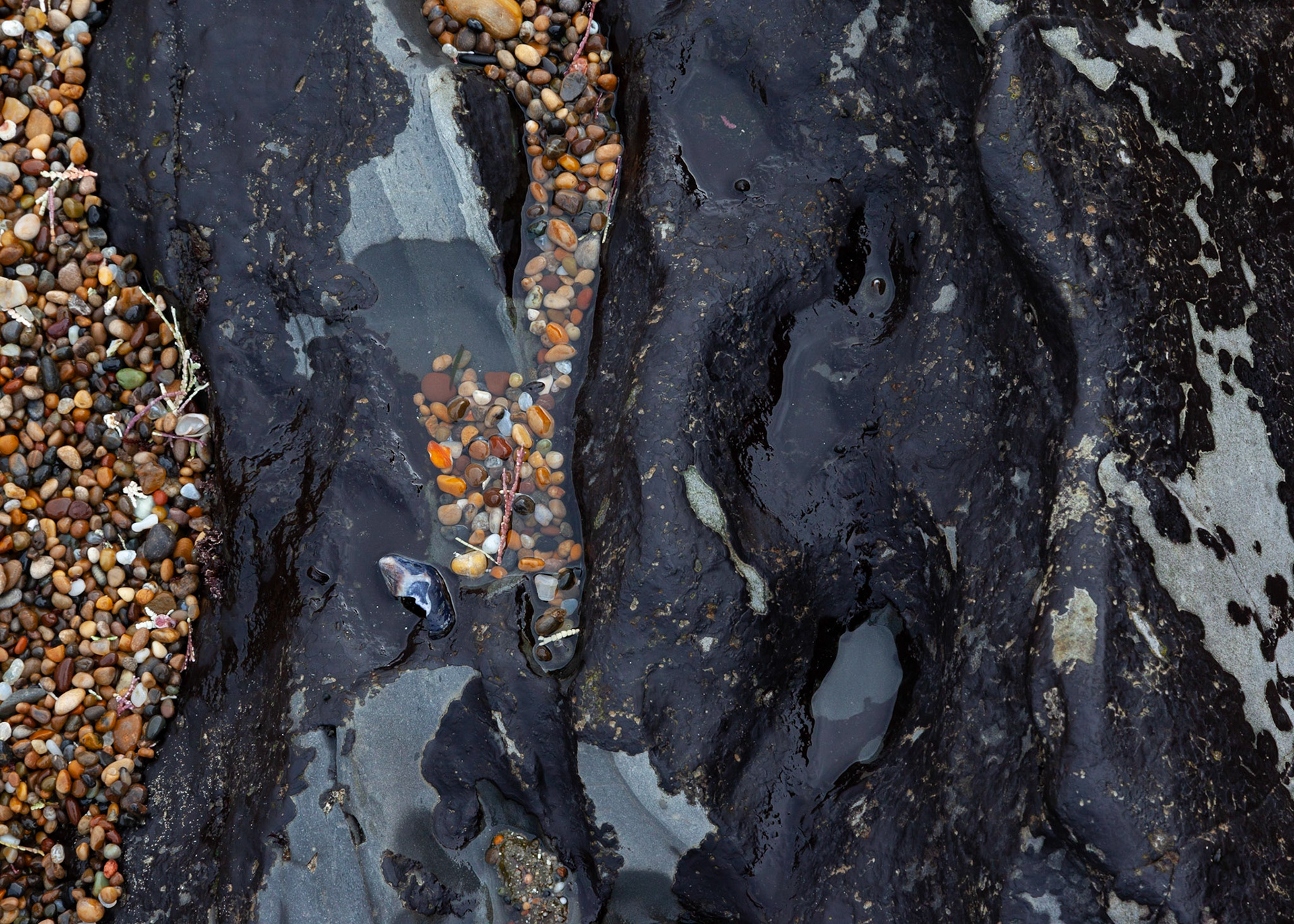 Abstract, Pebble Beach, 2020