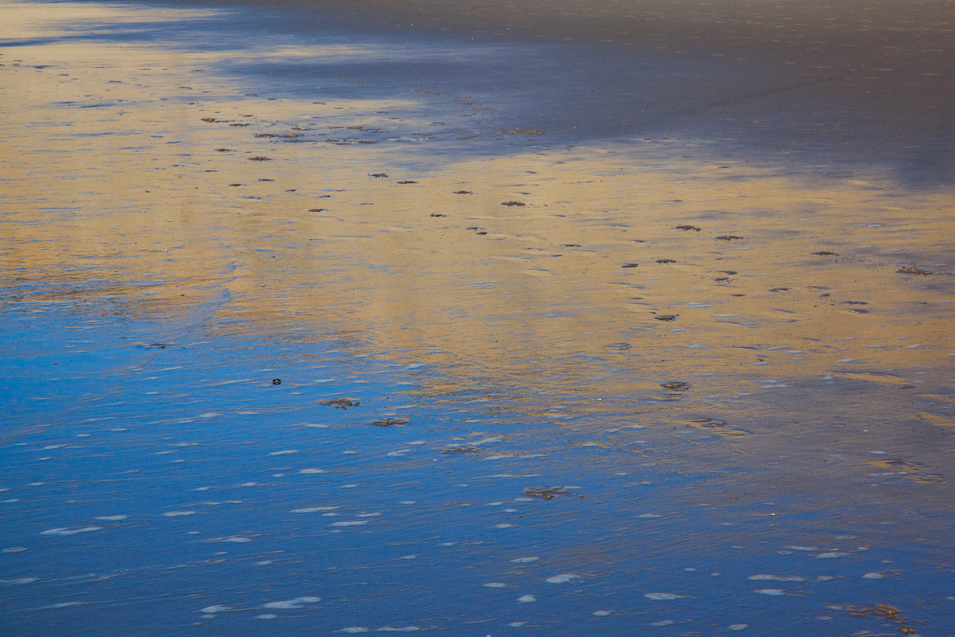 Reflected Cliff, San Gregorio, 2013