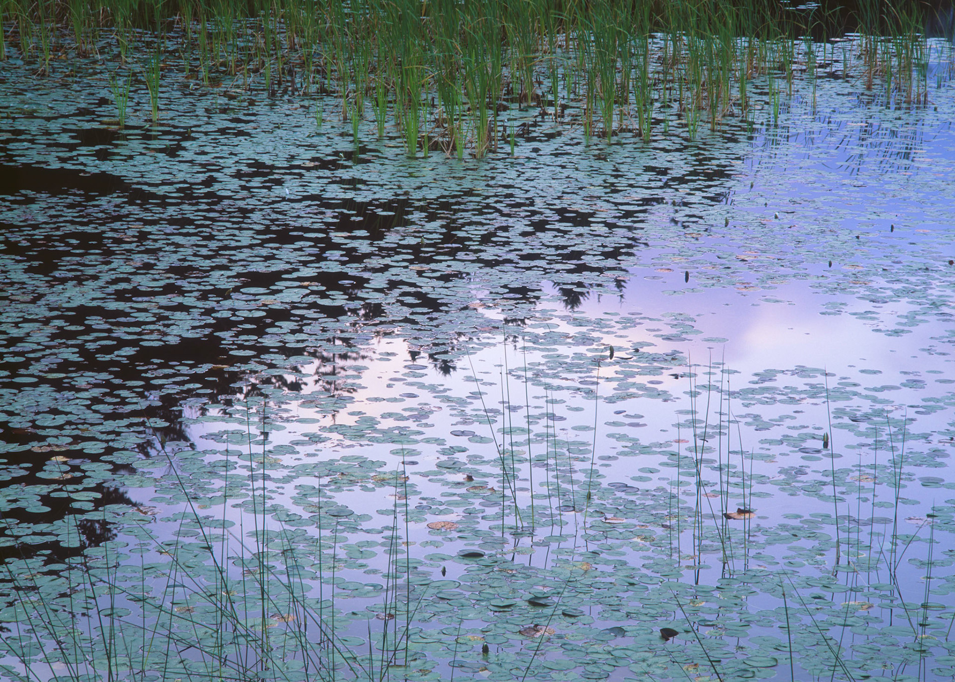 Long Pond #1, Acadia, 2002