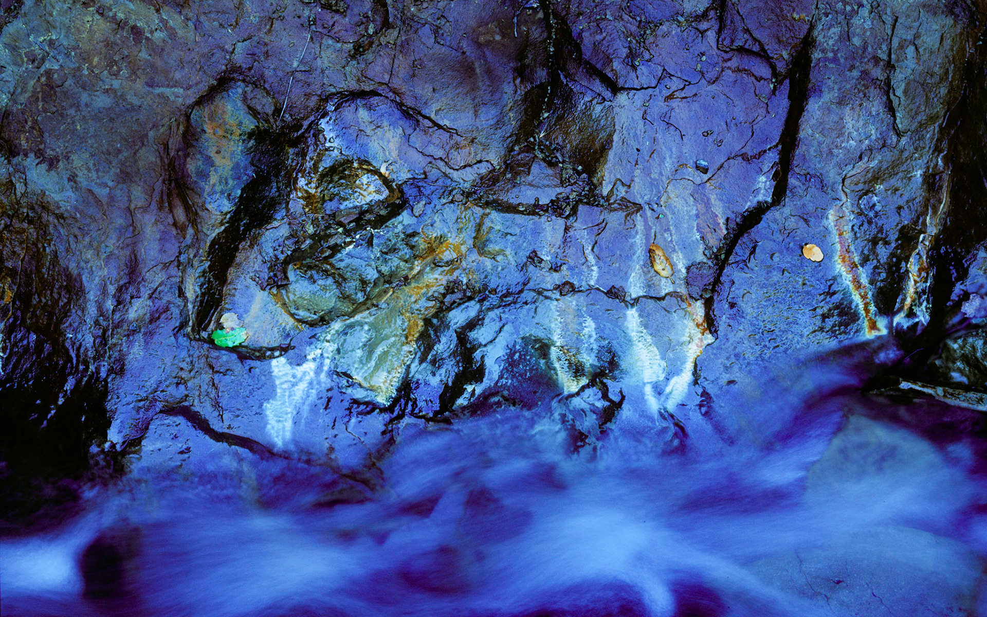 Blue Mystery, Sunol, 2004