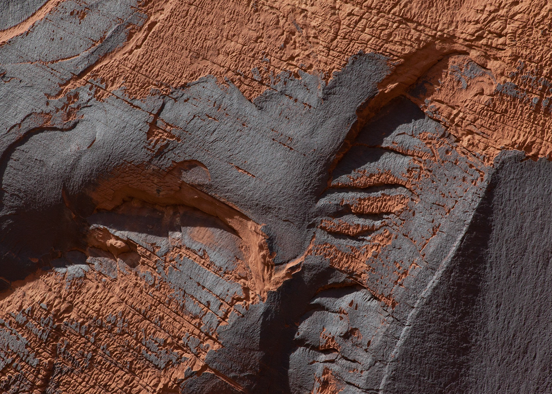 Varnish, Glen Canyon, 2015