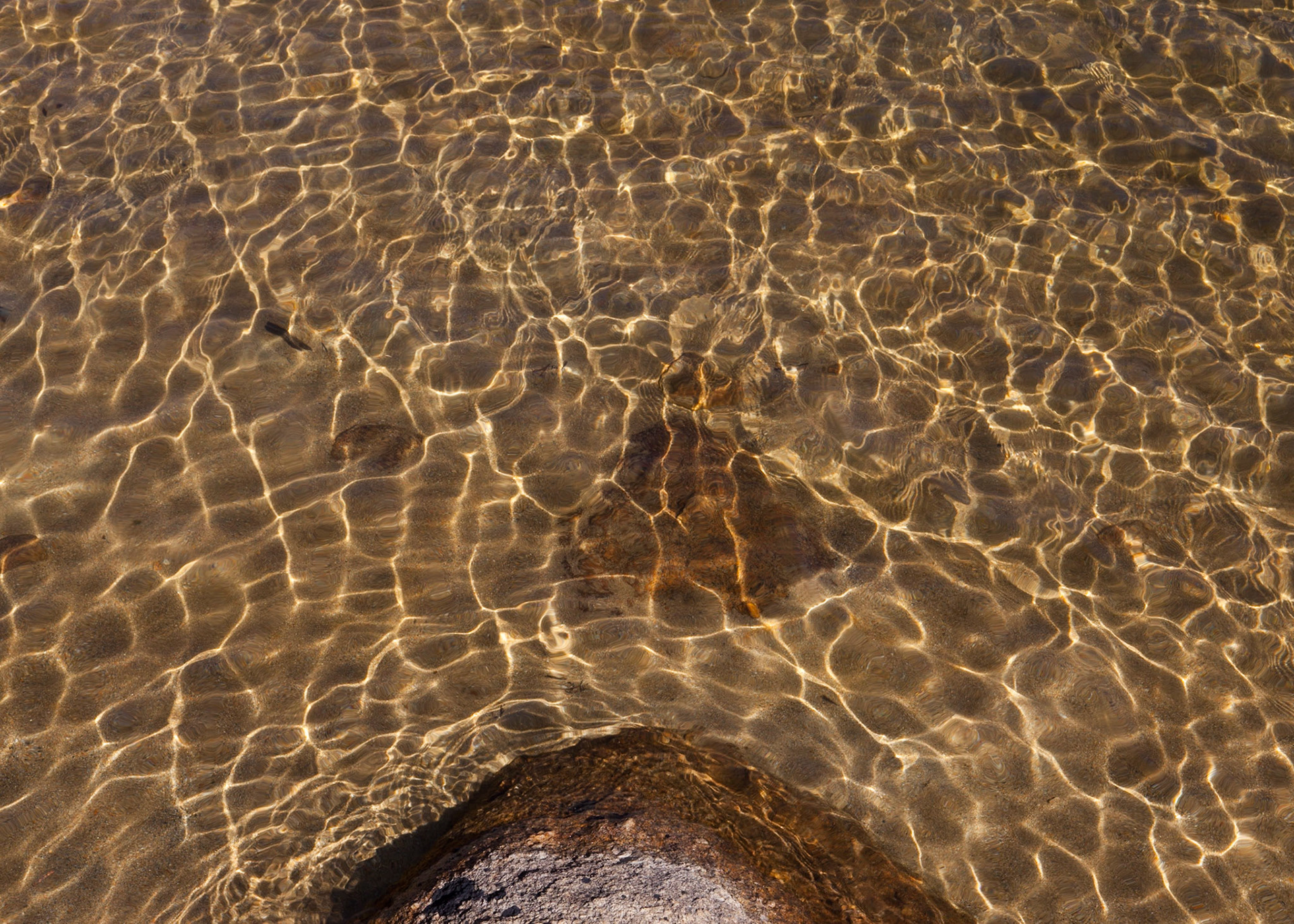 Ripples, Vogelsang, 2012