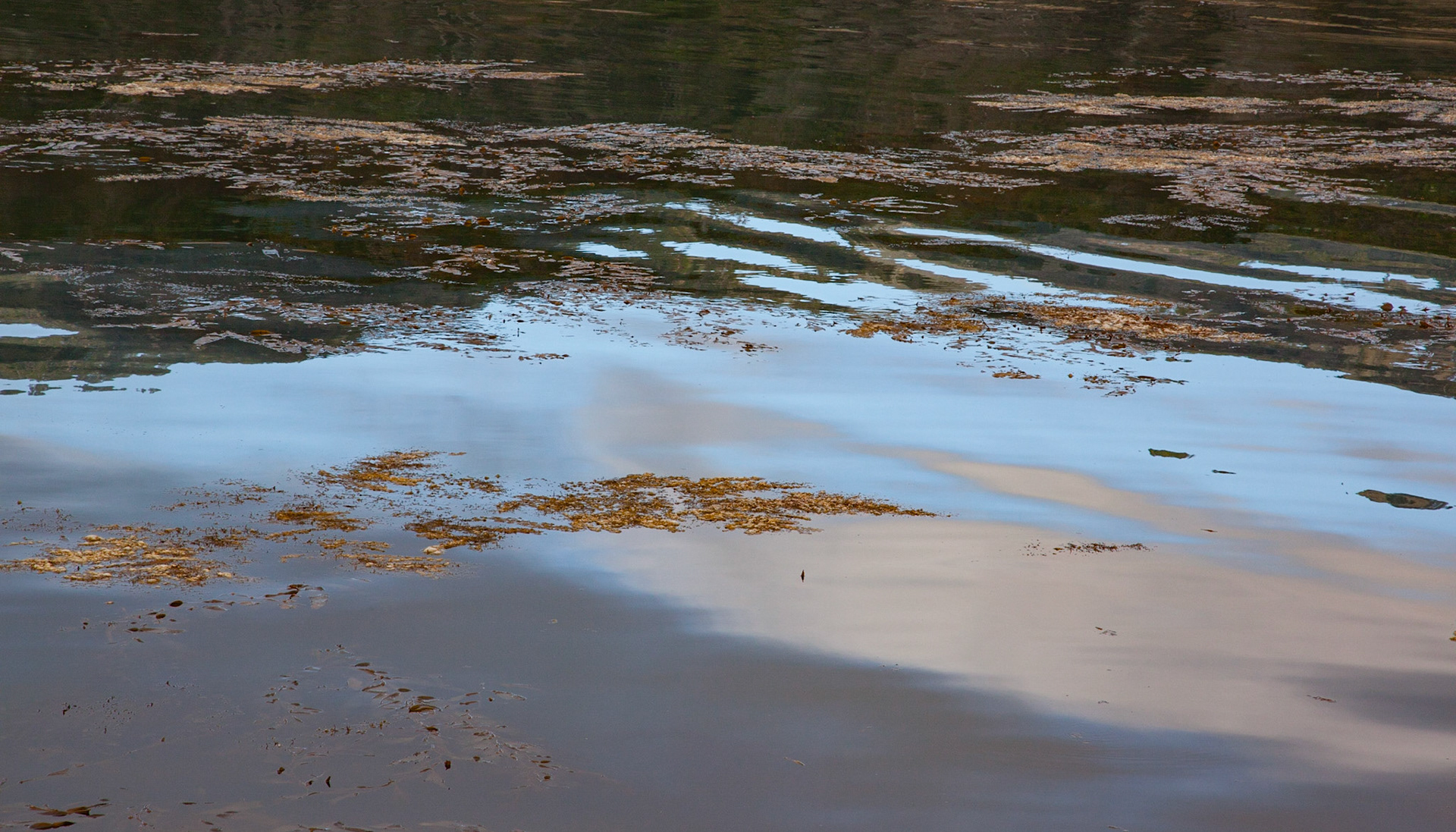 Cove Clouds #1, Point Lobos, 2010