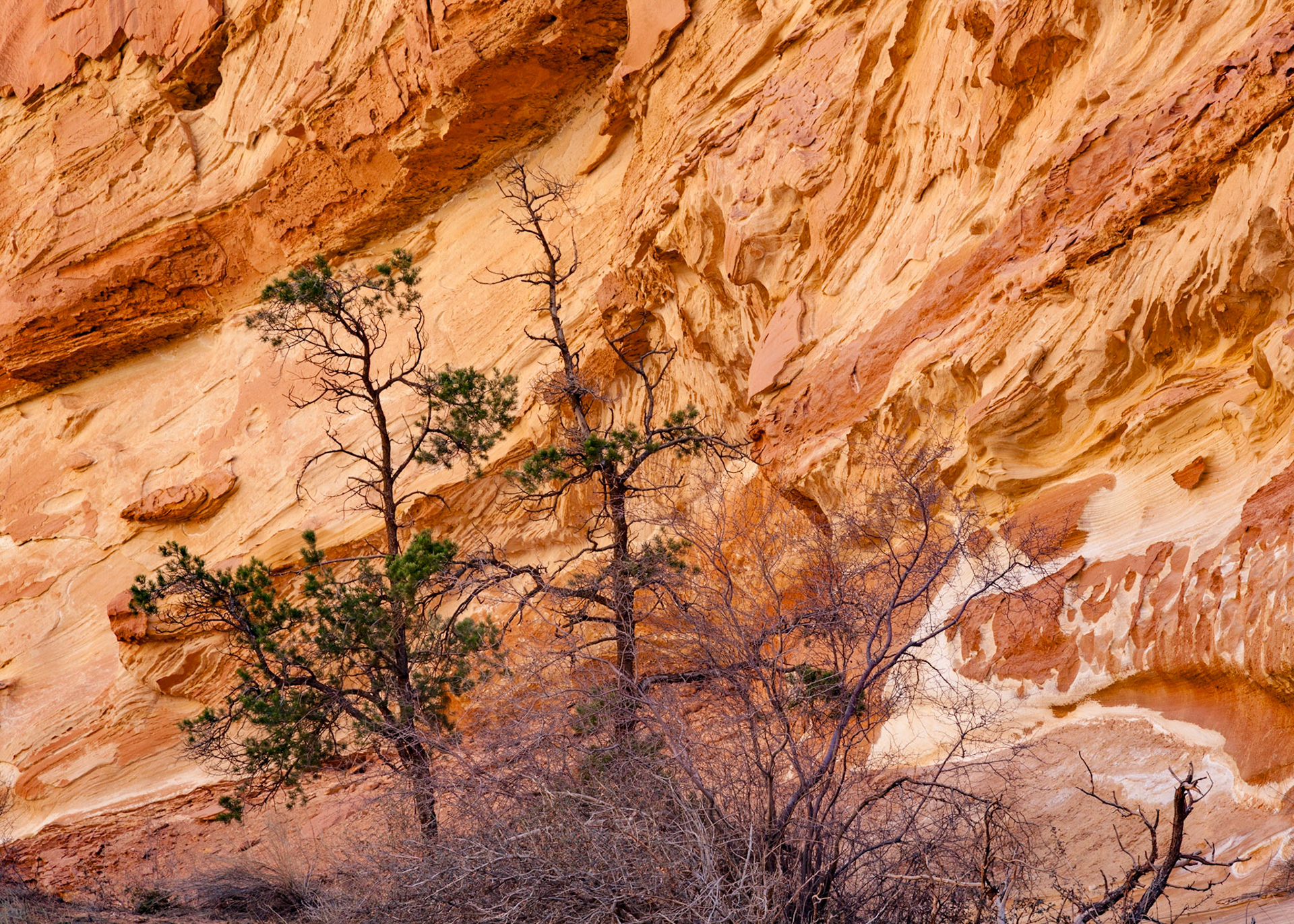 Counterpoint, Capital Reef, 2010