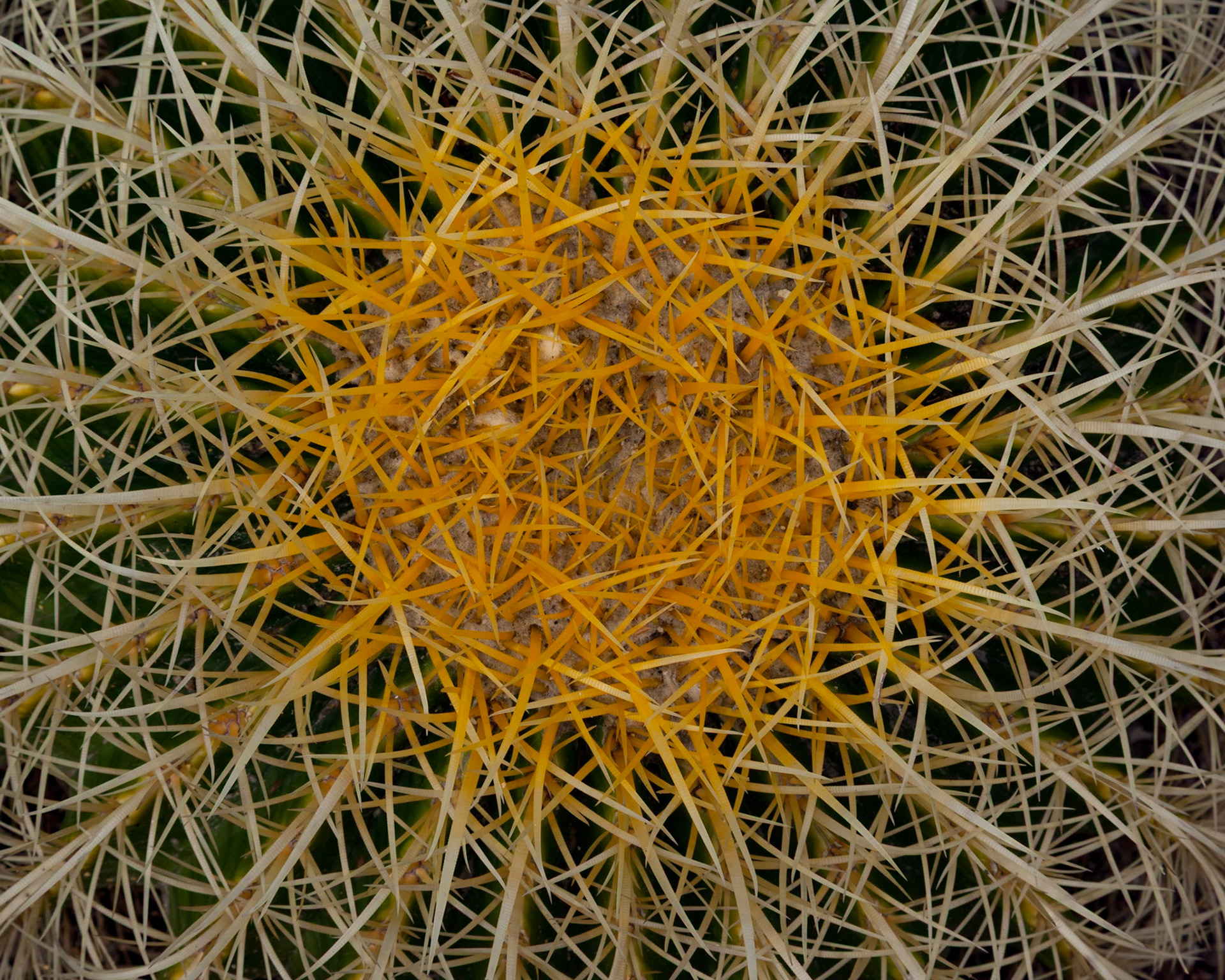 Inner Secret,  Stanford, 2012