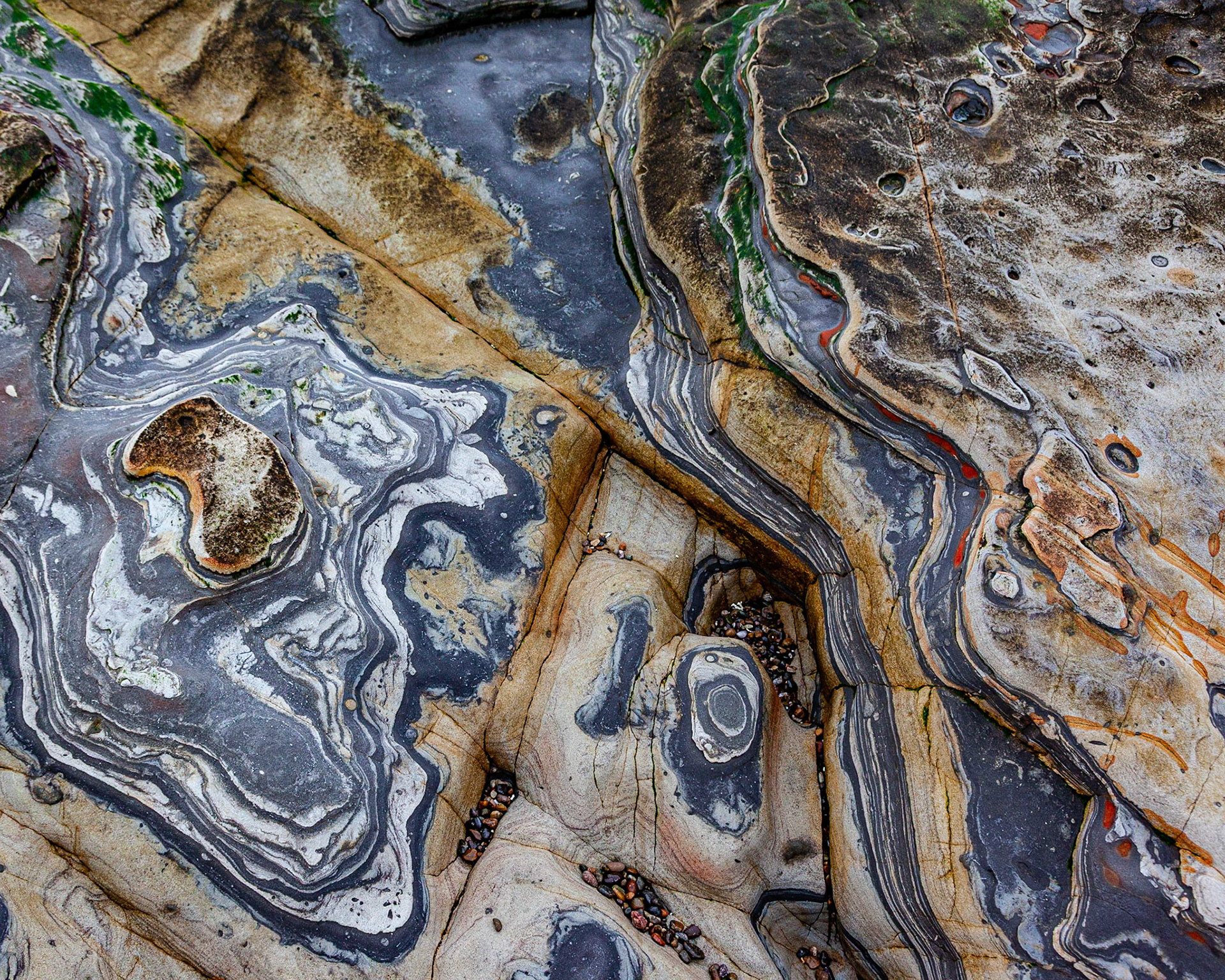 Abstract #3, Point Lobos, 2020