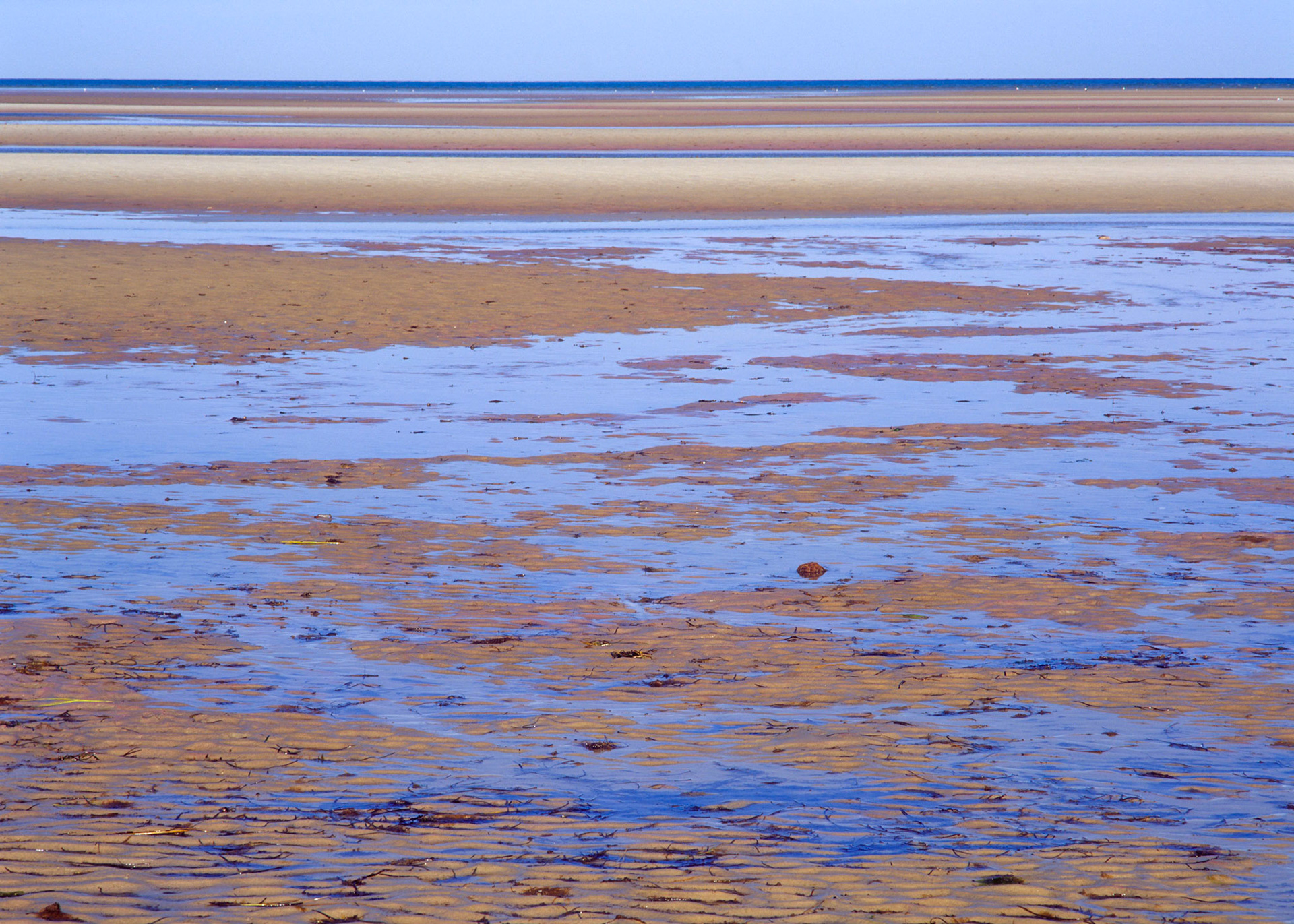 Skaket Perspective, Cape Cod, 2003