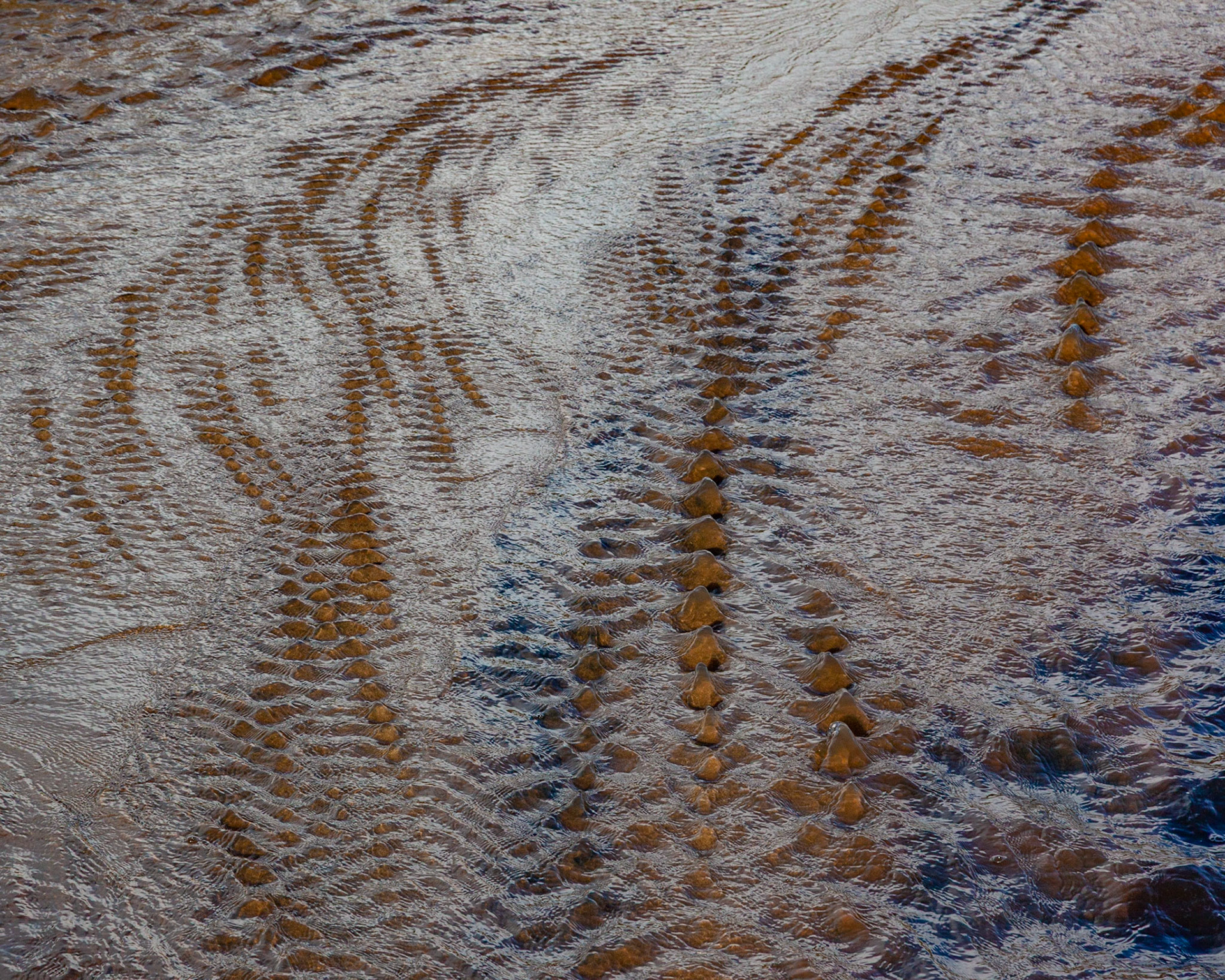 Rippled Stream, Bean Hollow, 2019