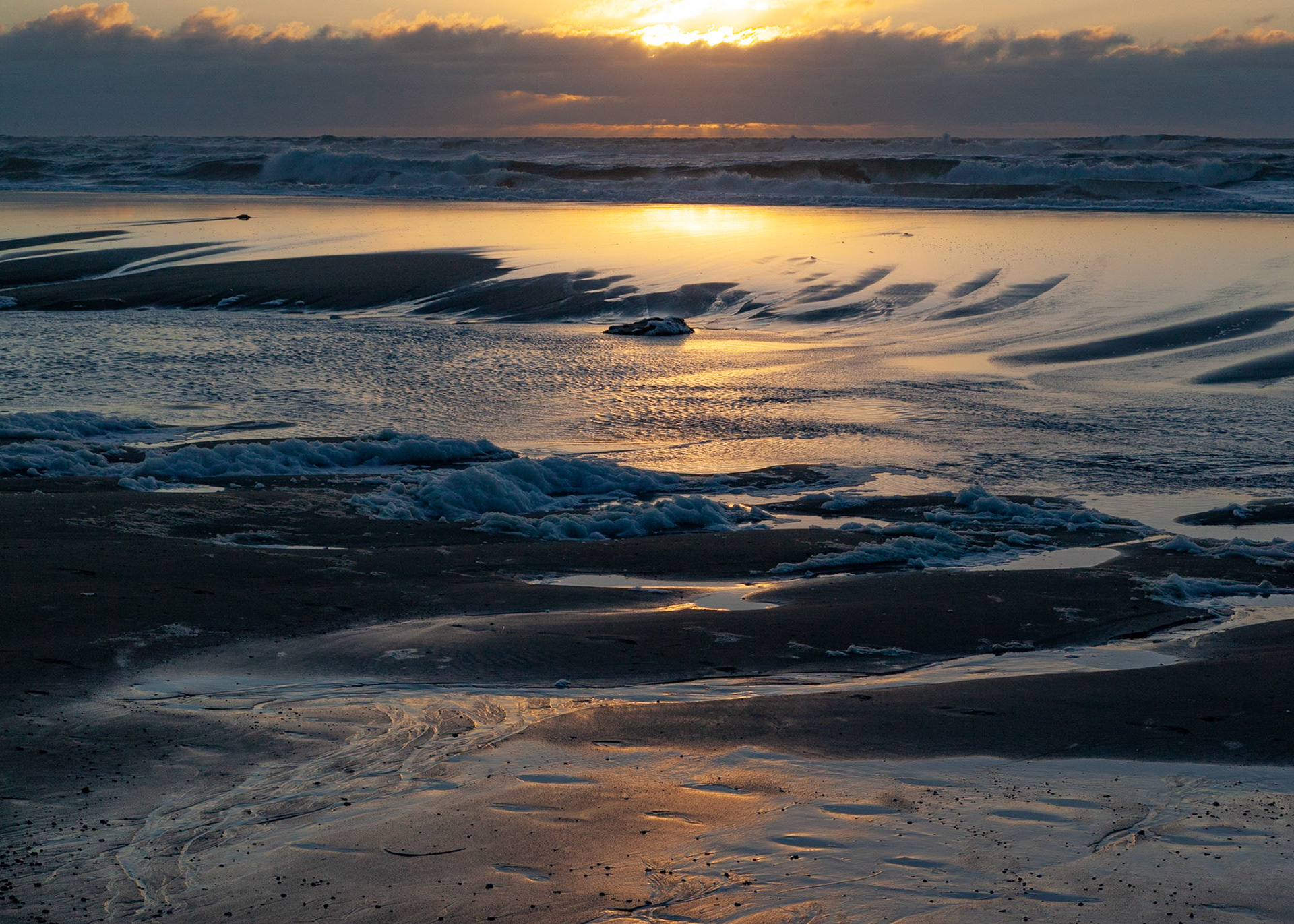 Low Tide, Pomponio, 2019