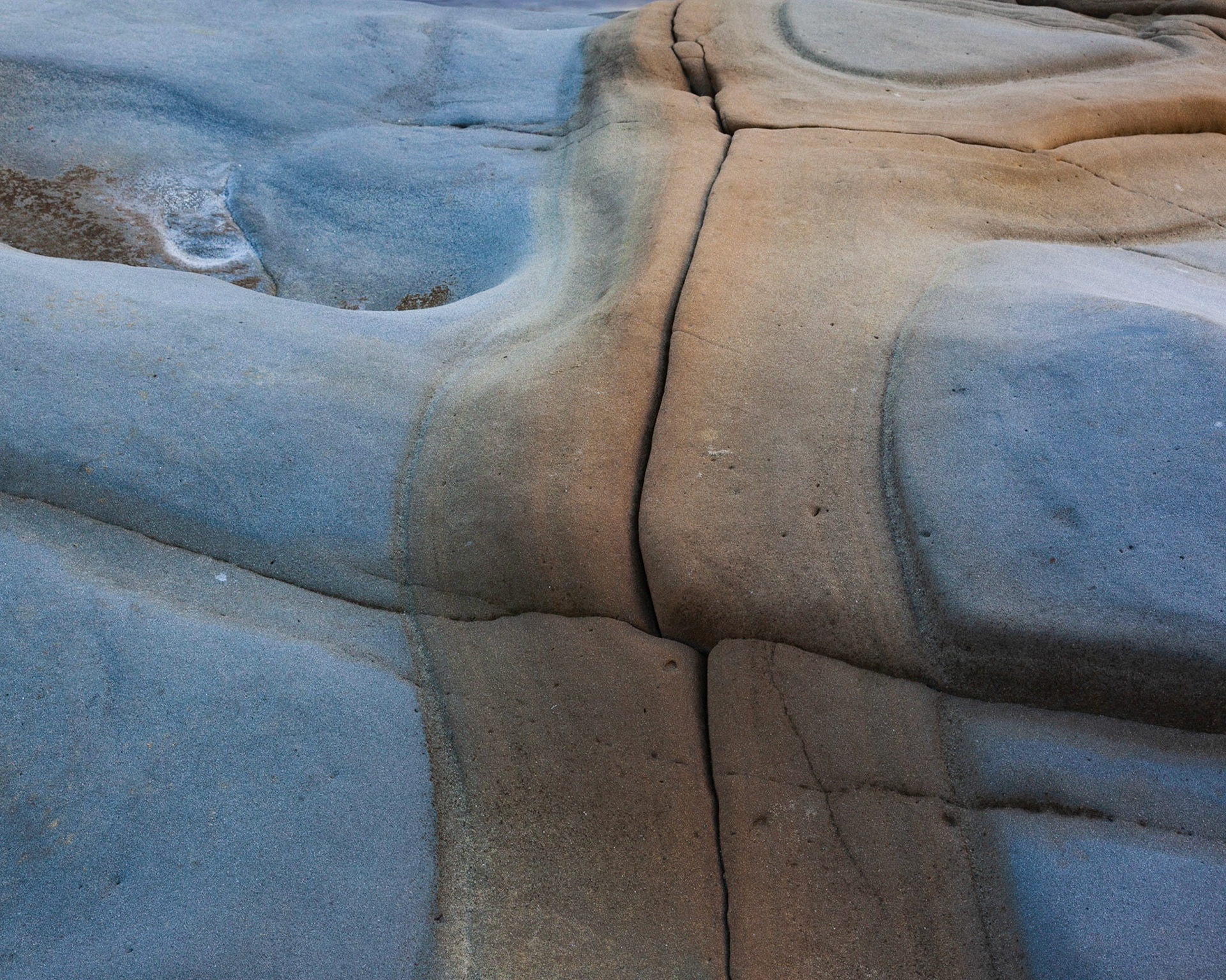 Contours, Salt Point, 2020