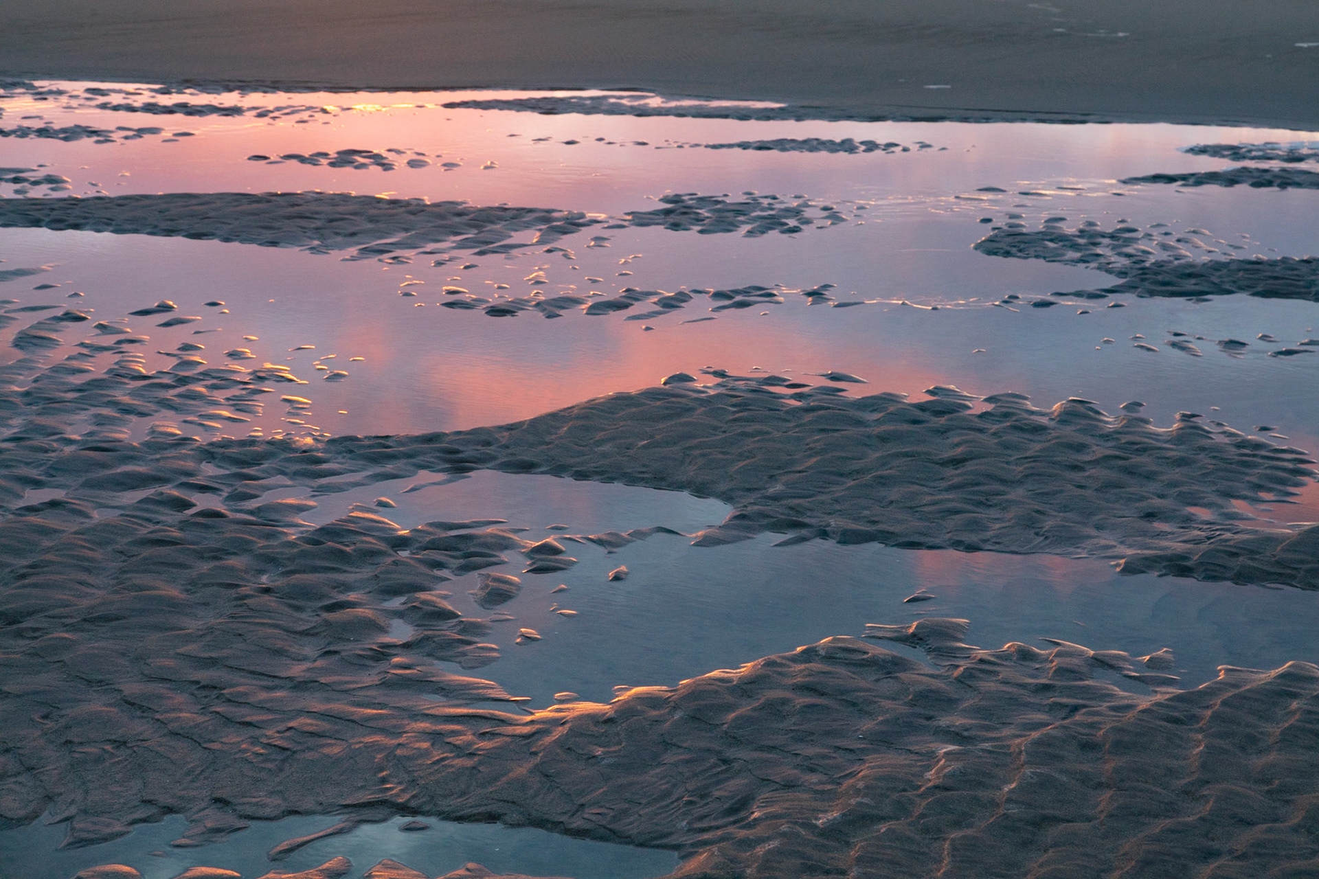 Low Tide, Pomponio, 2022