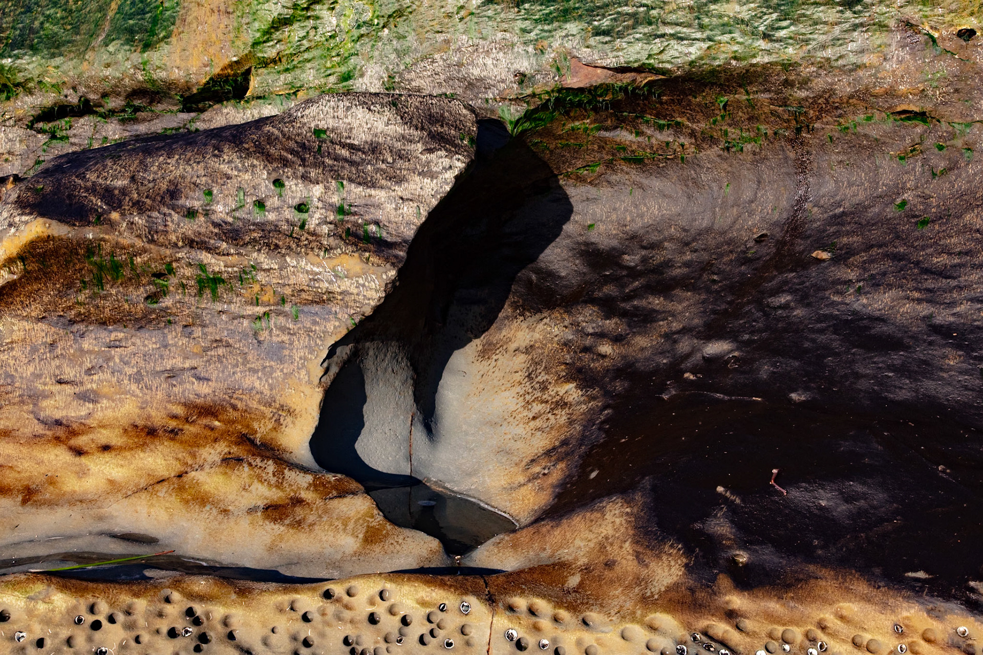 Shadow, Pomponio, 2024