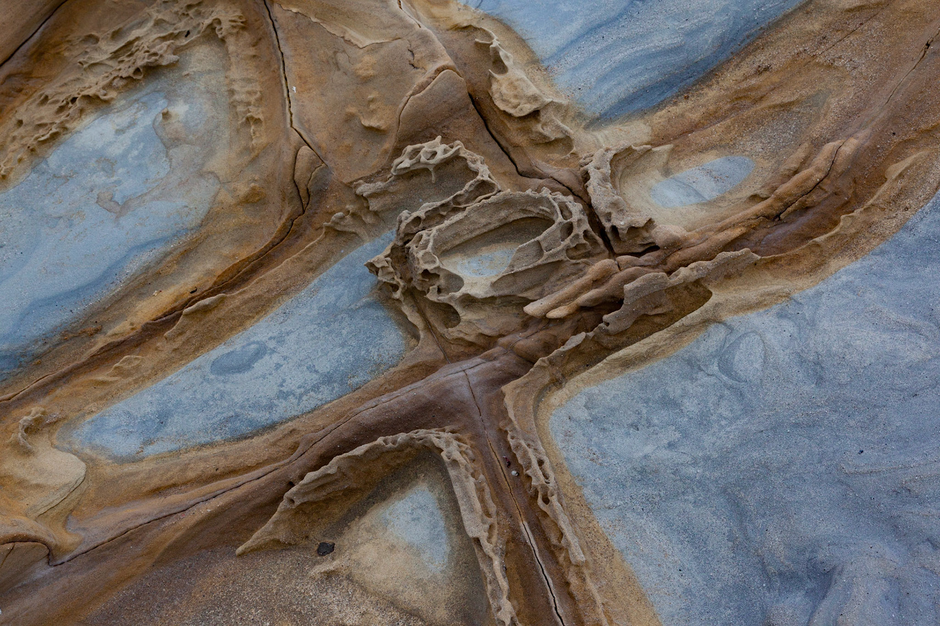 Tafoni, Salt Point, 2016