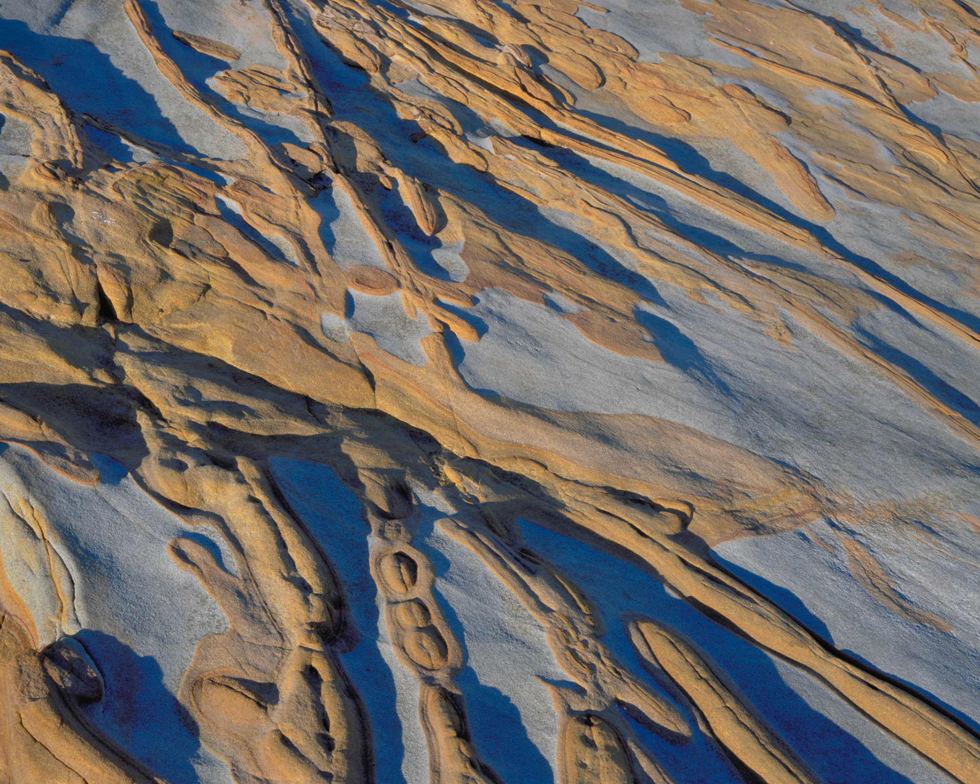 Sandstone Web, Point Lobos, 2001
