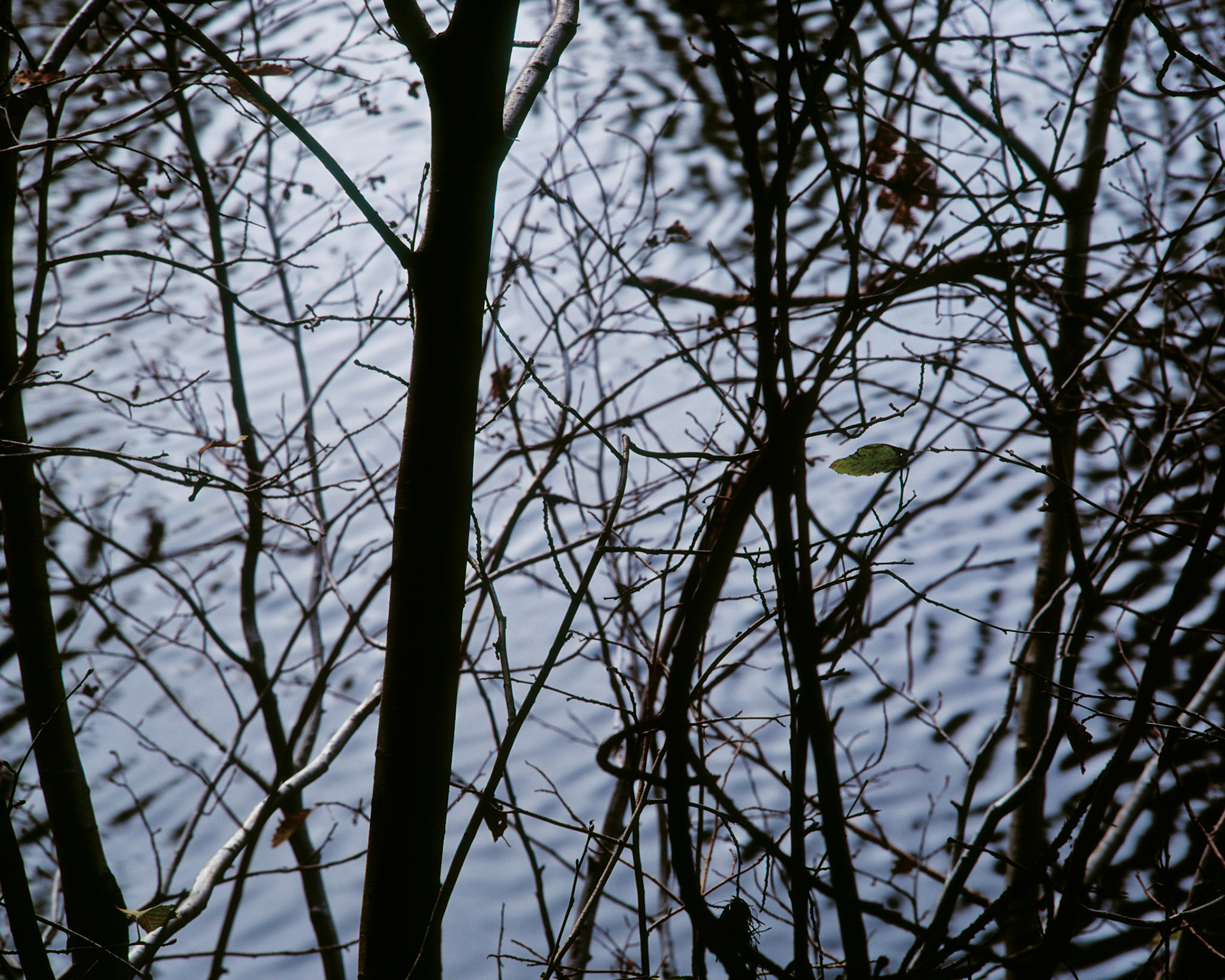 Ripples, Stanislaus, 2006