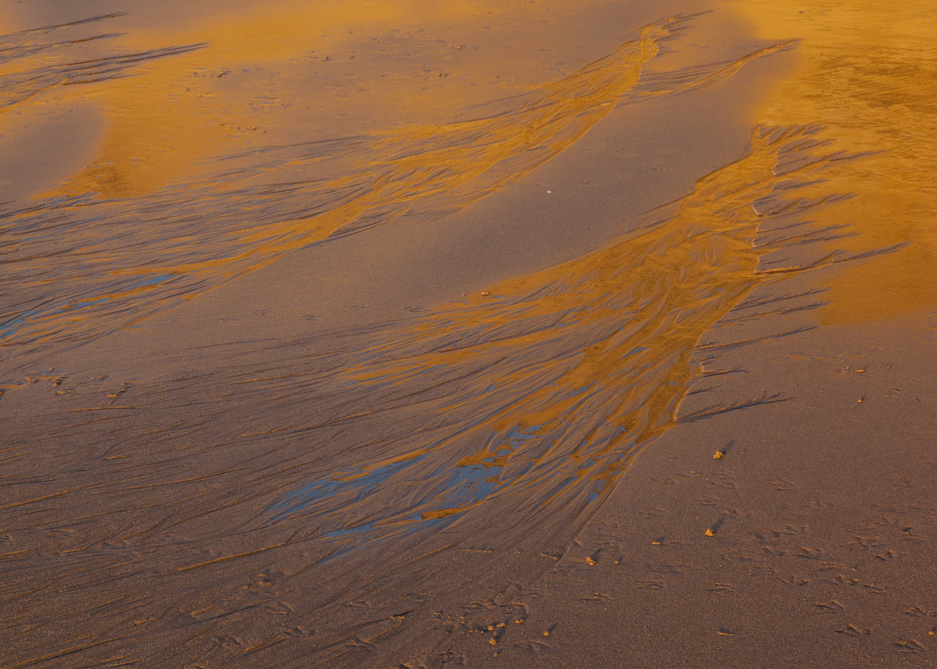 Sand Patterns, Pomponio, 2011