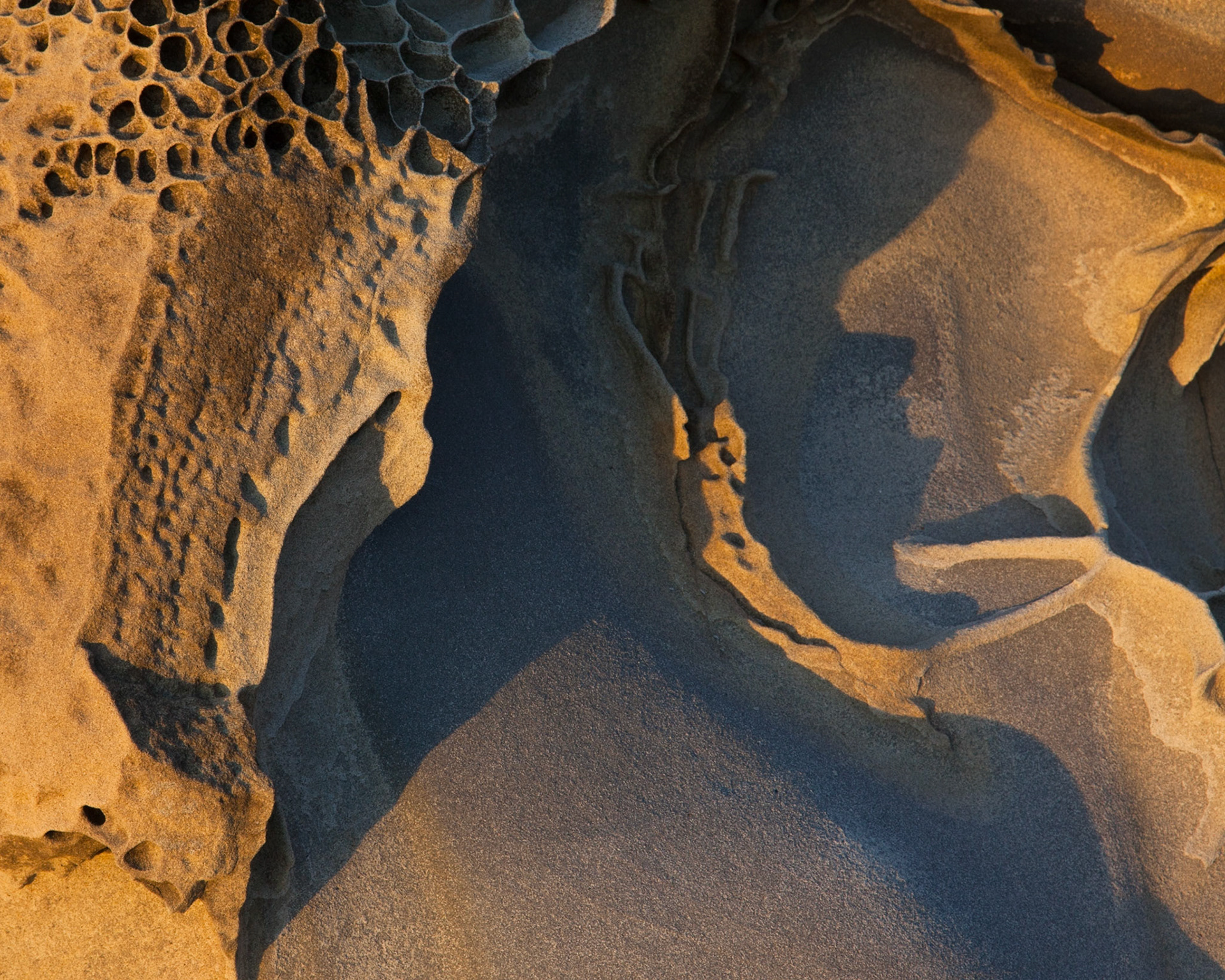 Shadows, Salt Point, 2015