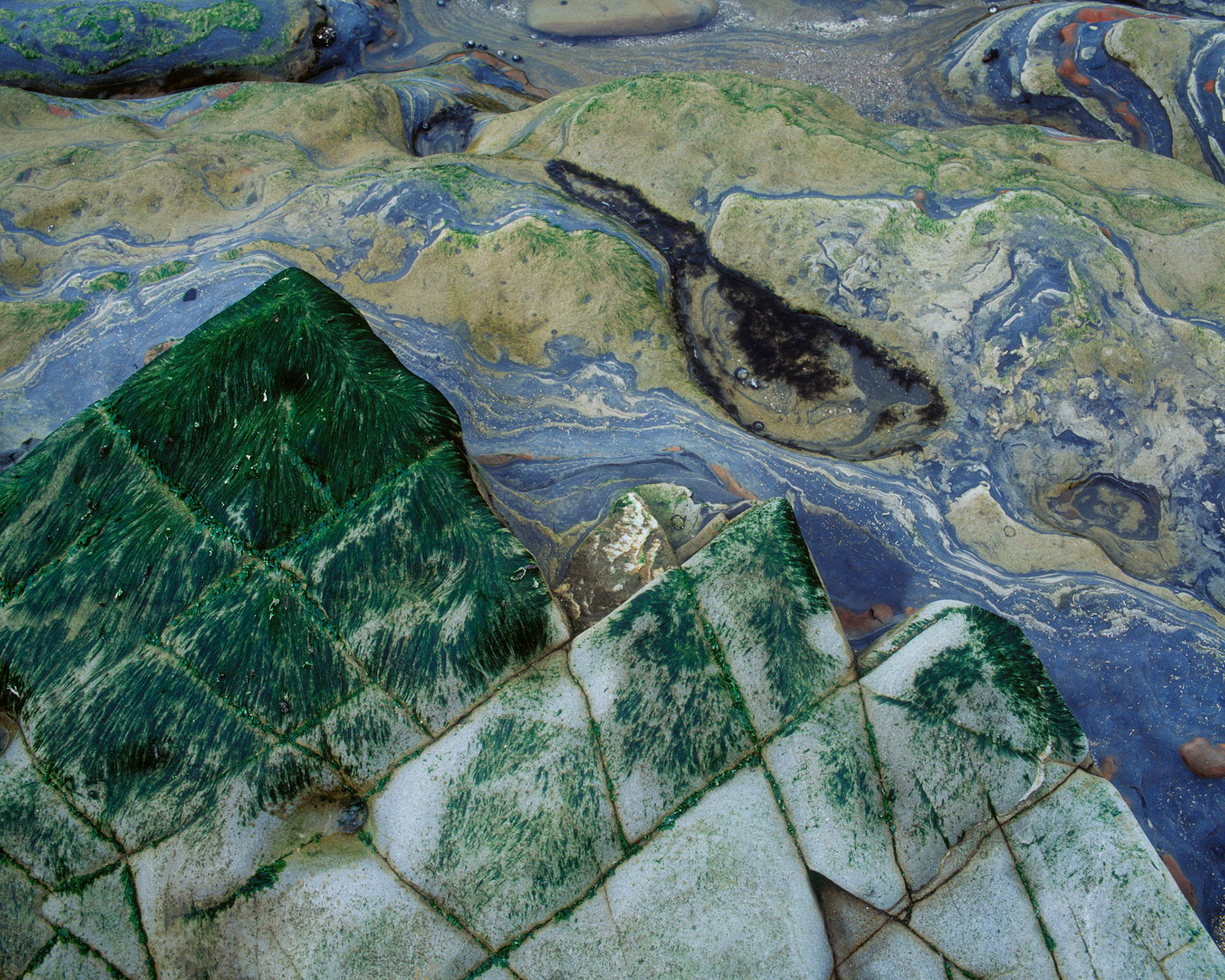 Jagged, Point Lobos, 2003