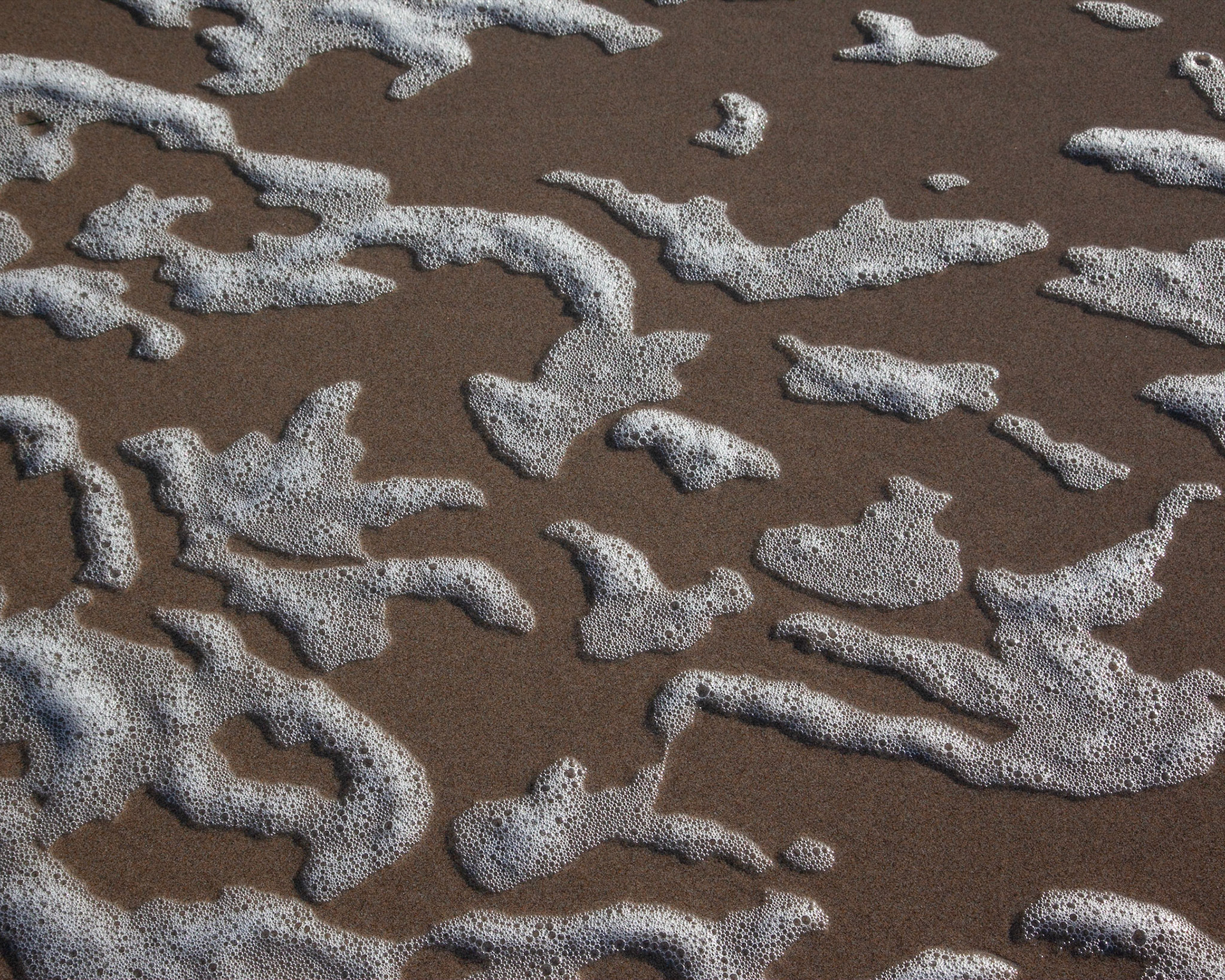 Sea Foam, San Gregorio, 2020