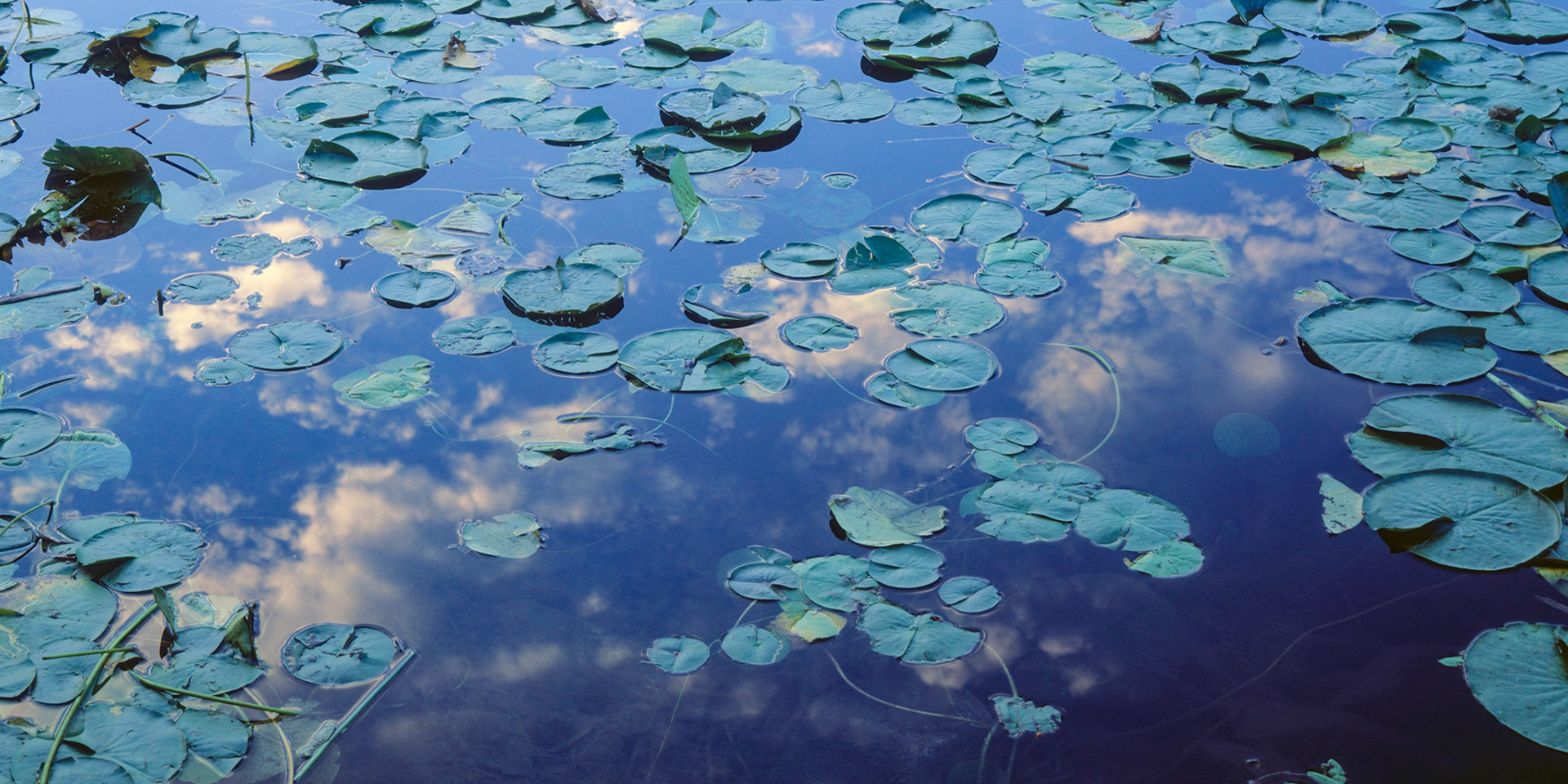 Two Worlds, Acadia, 2003