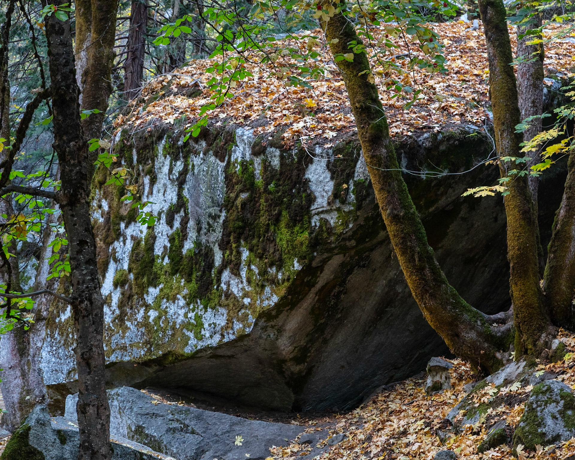 Boulder, Tenaya Creek, 2023