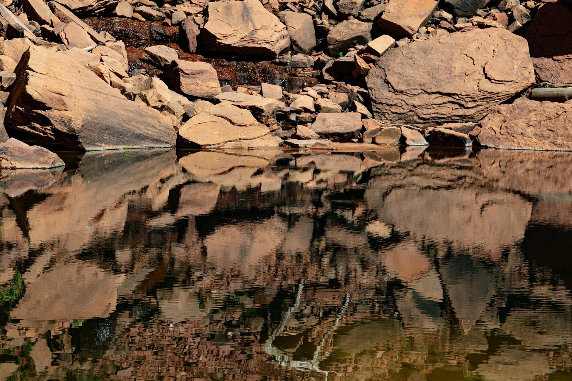 Symmetry, Zion, 2022