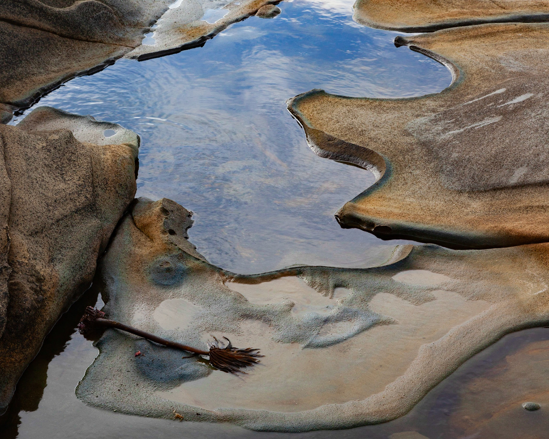 Sky View, Salt Point, 2020